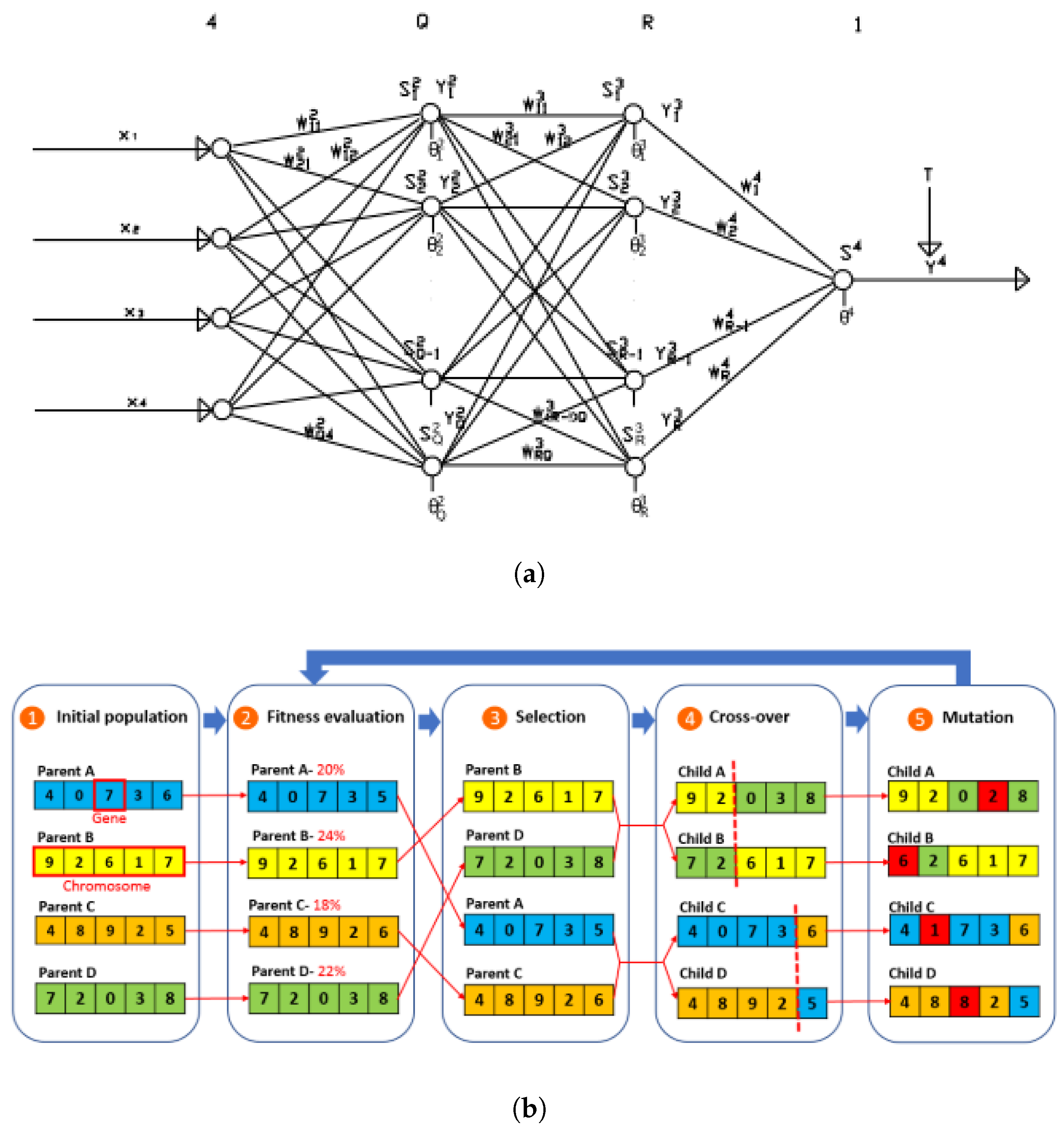 Preprints 165927 g005