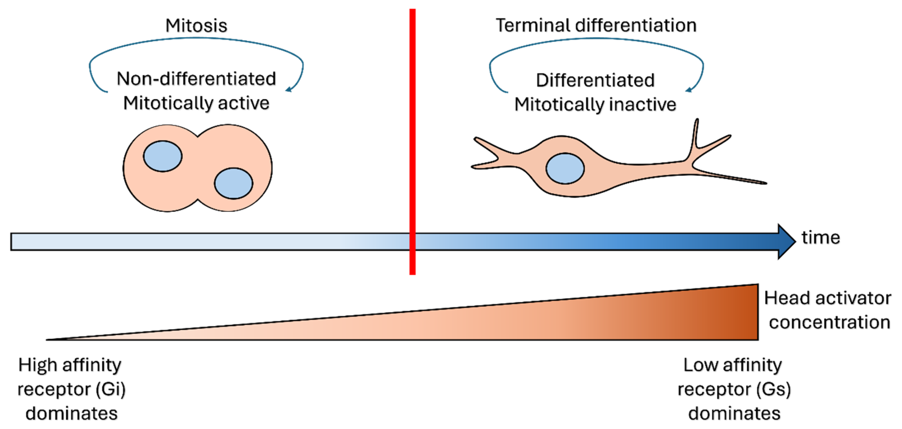 Preprints 197965 g003