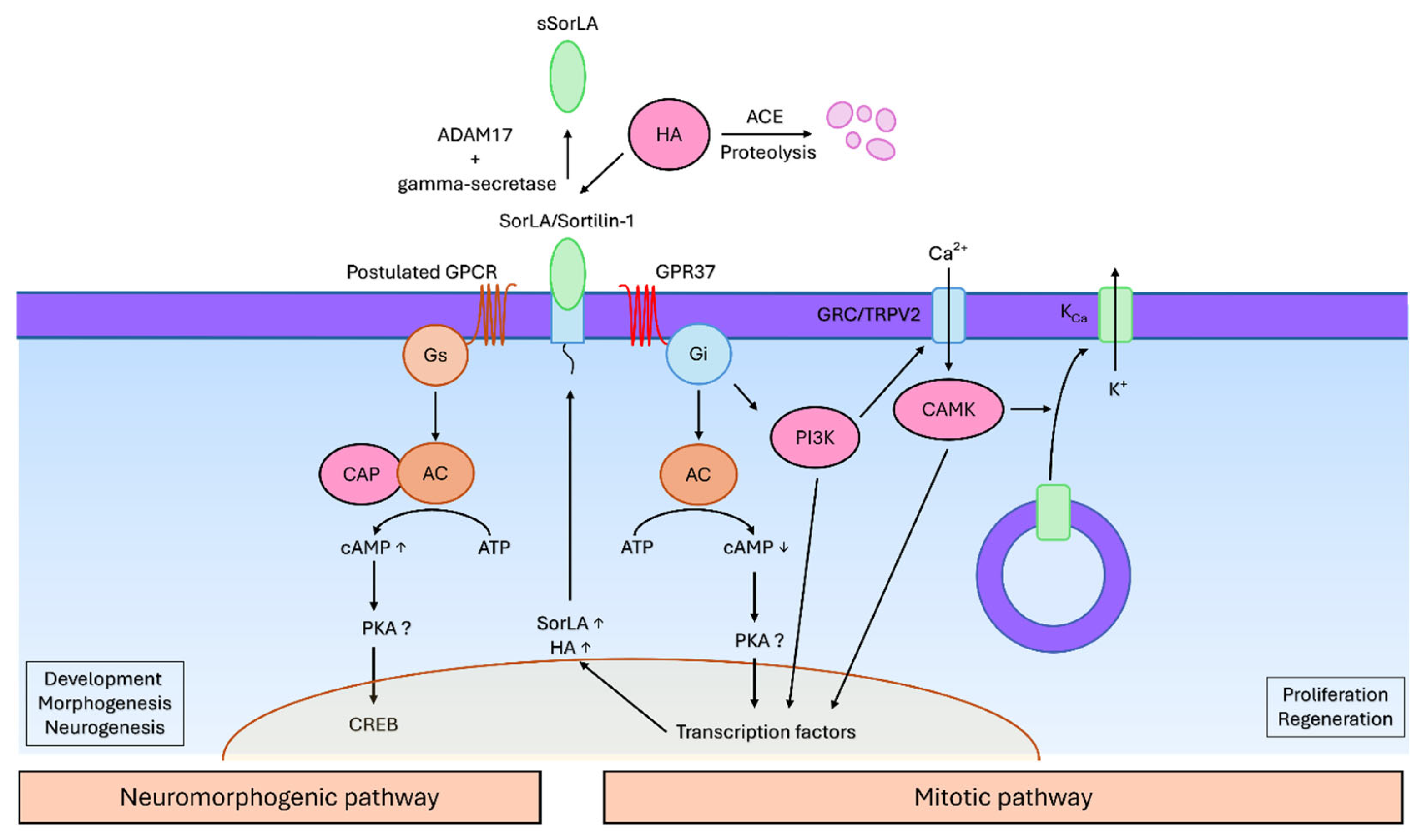 Preprints 197965 g004