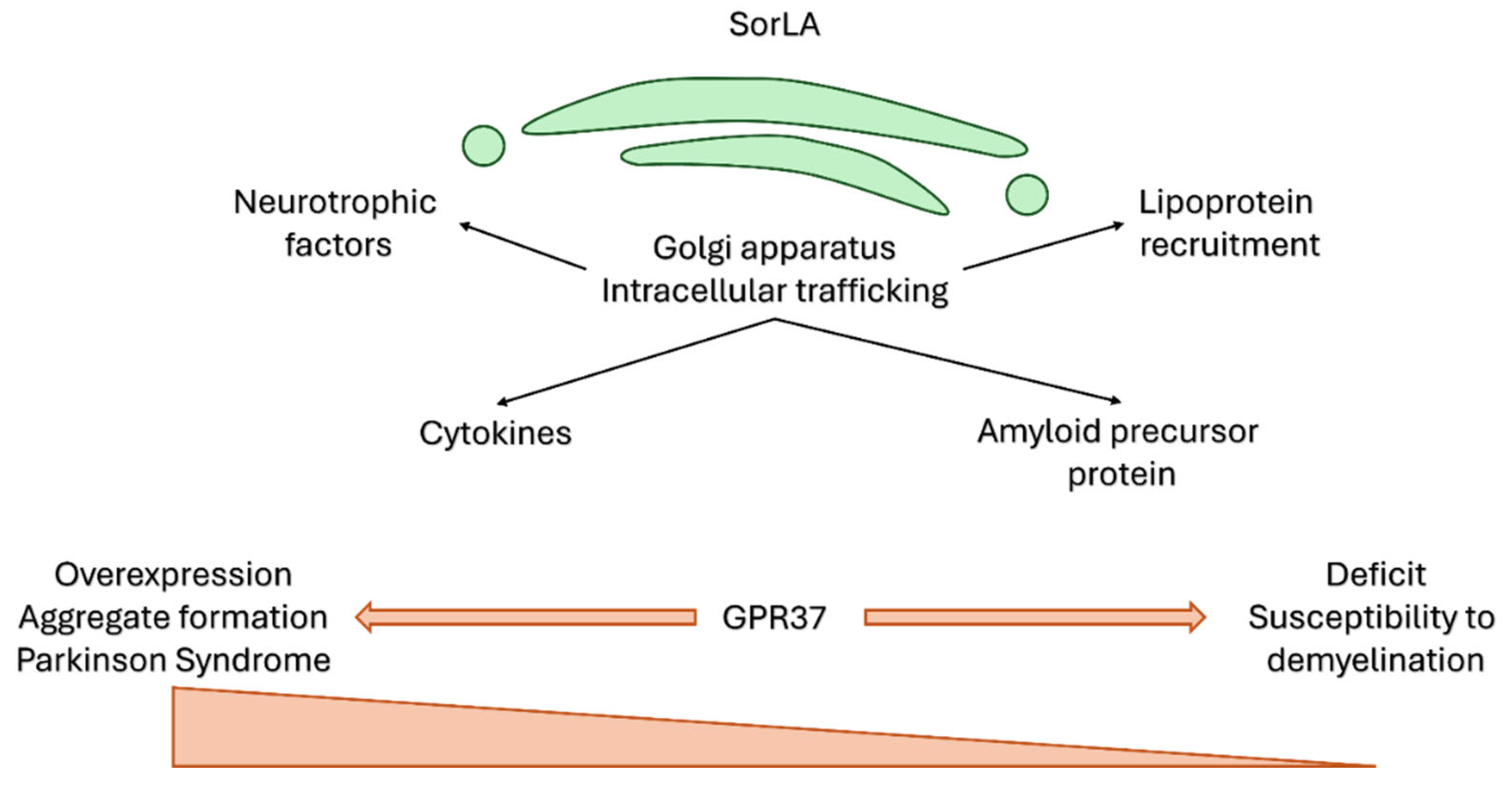 Preprints 197965 g005