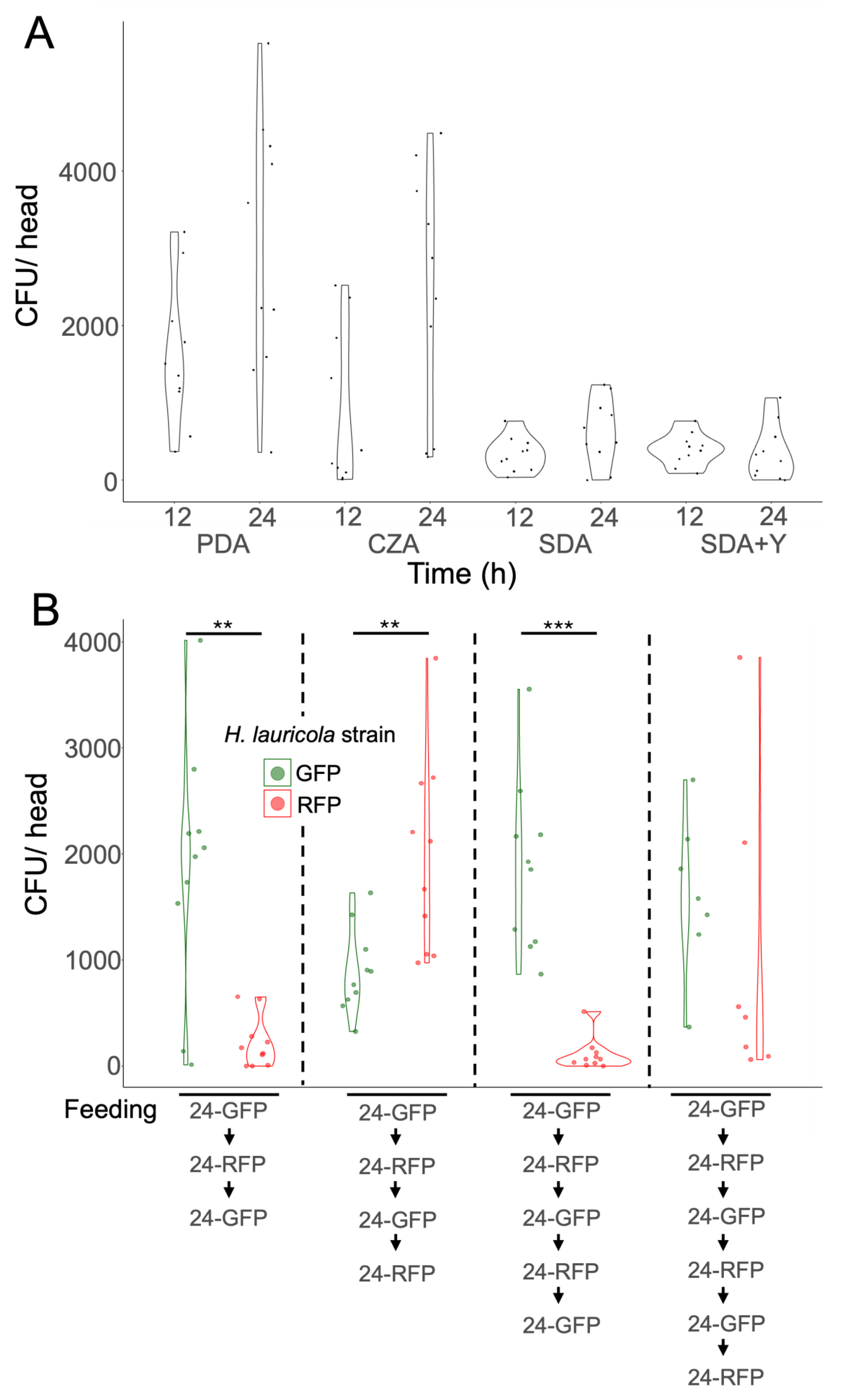 Preprints 147916 g004