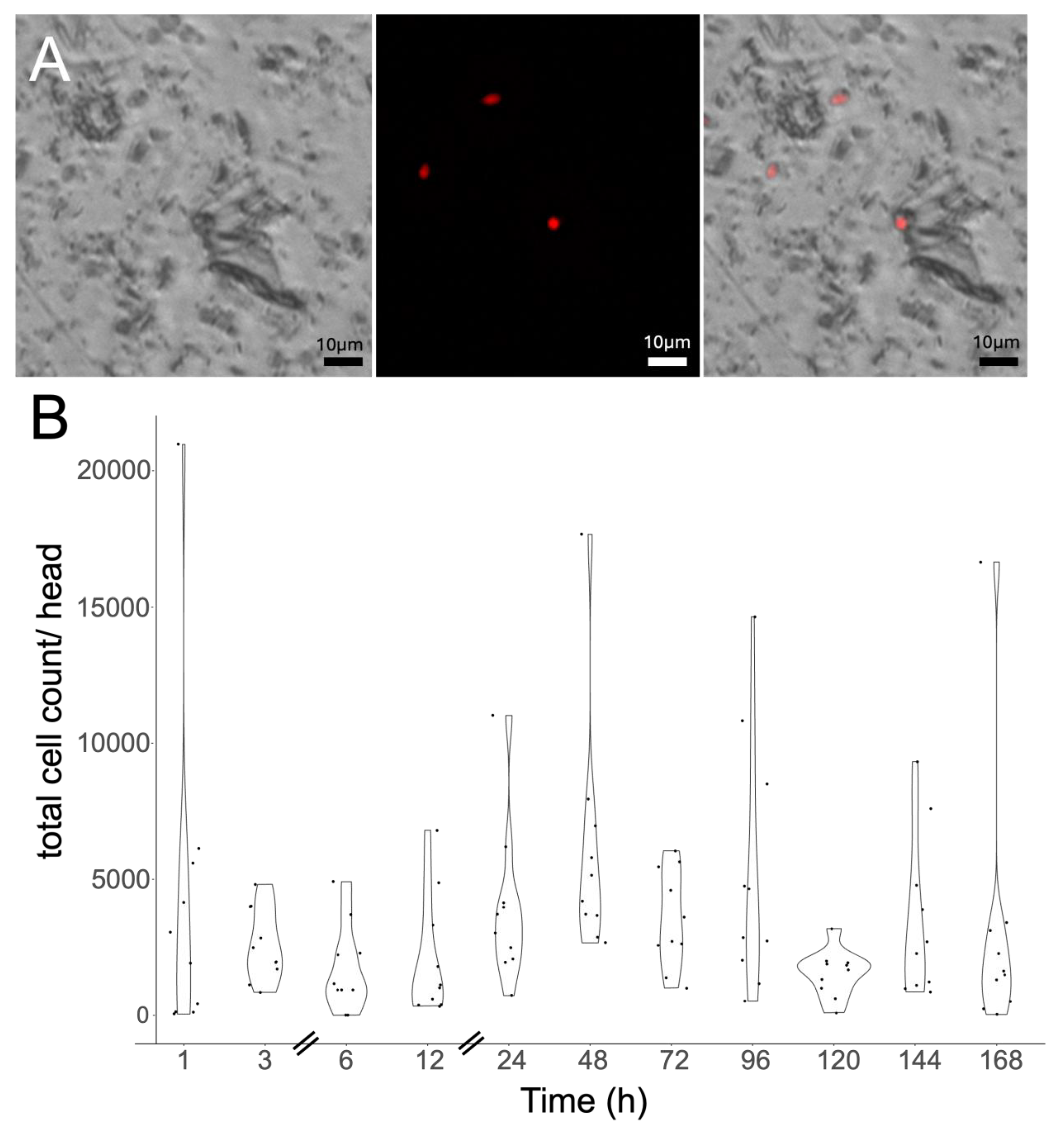 Preprints 147916 g005