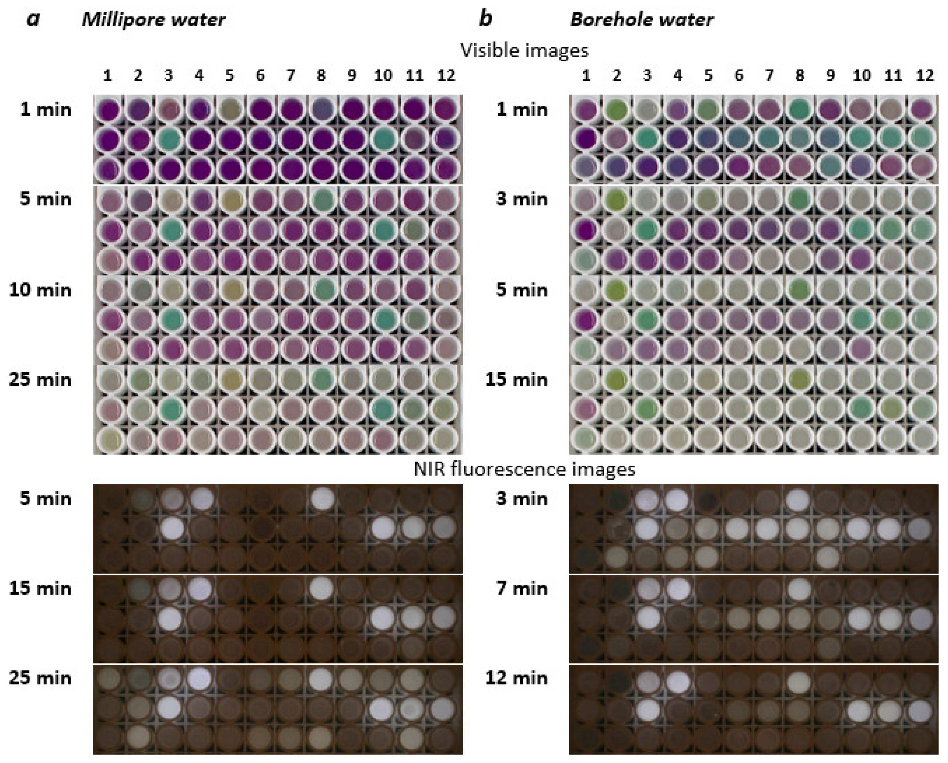 Preprints 117179 g002