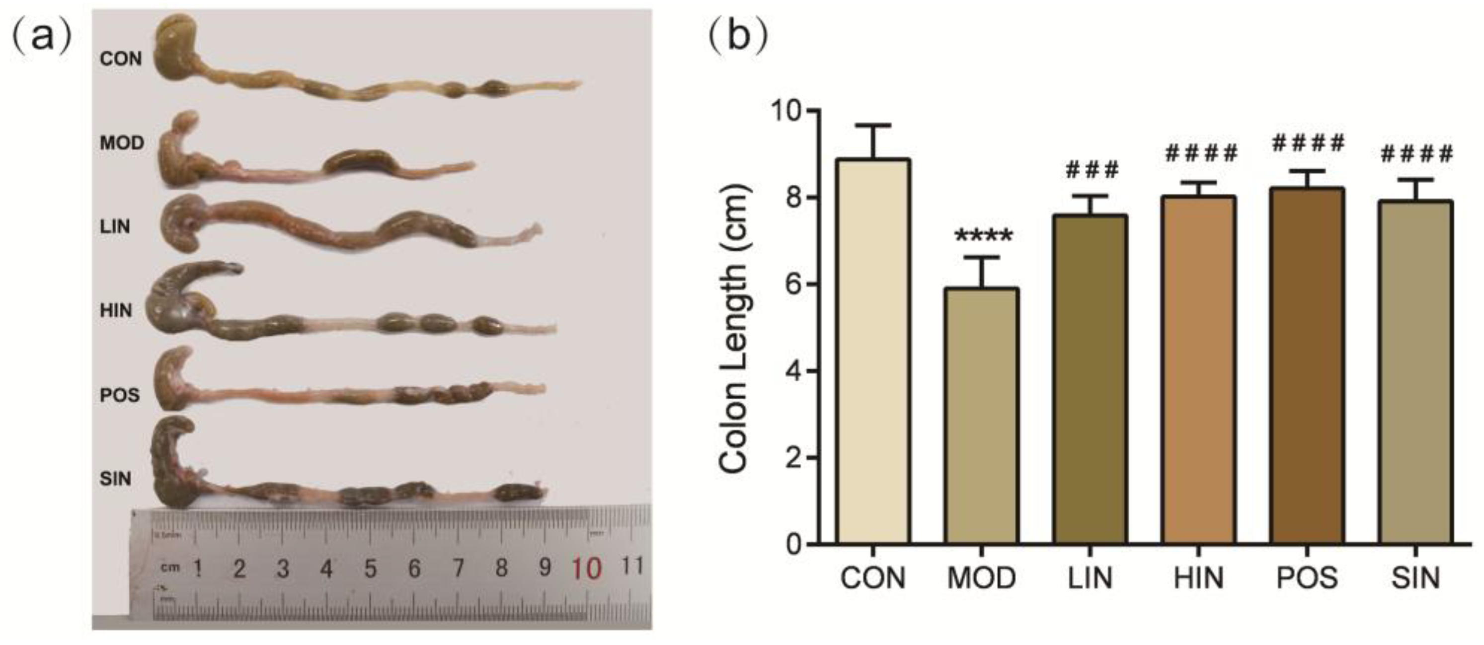 Preprints 153212 g004