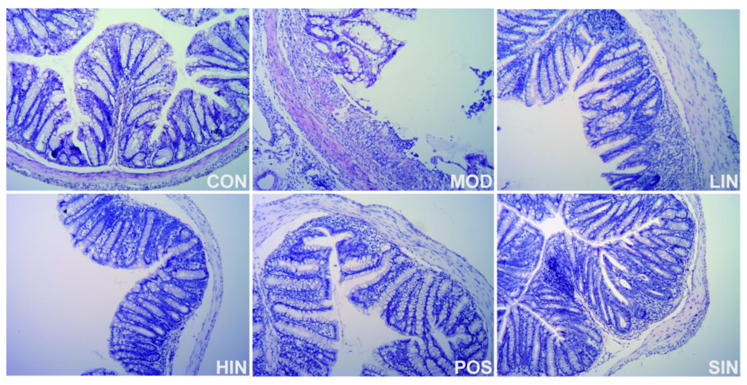 Preprints 153212 g005
