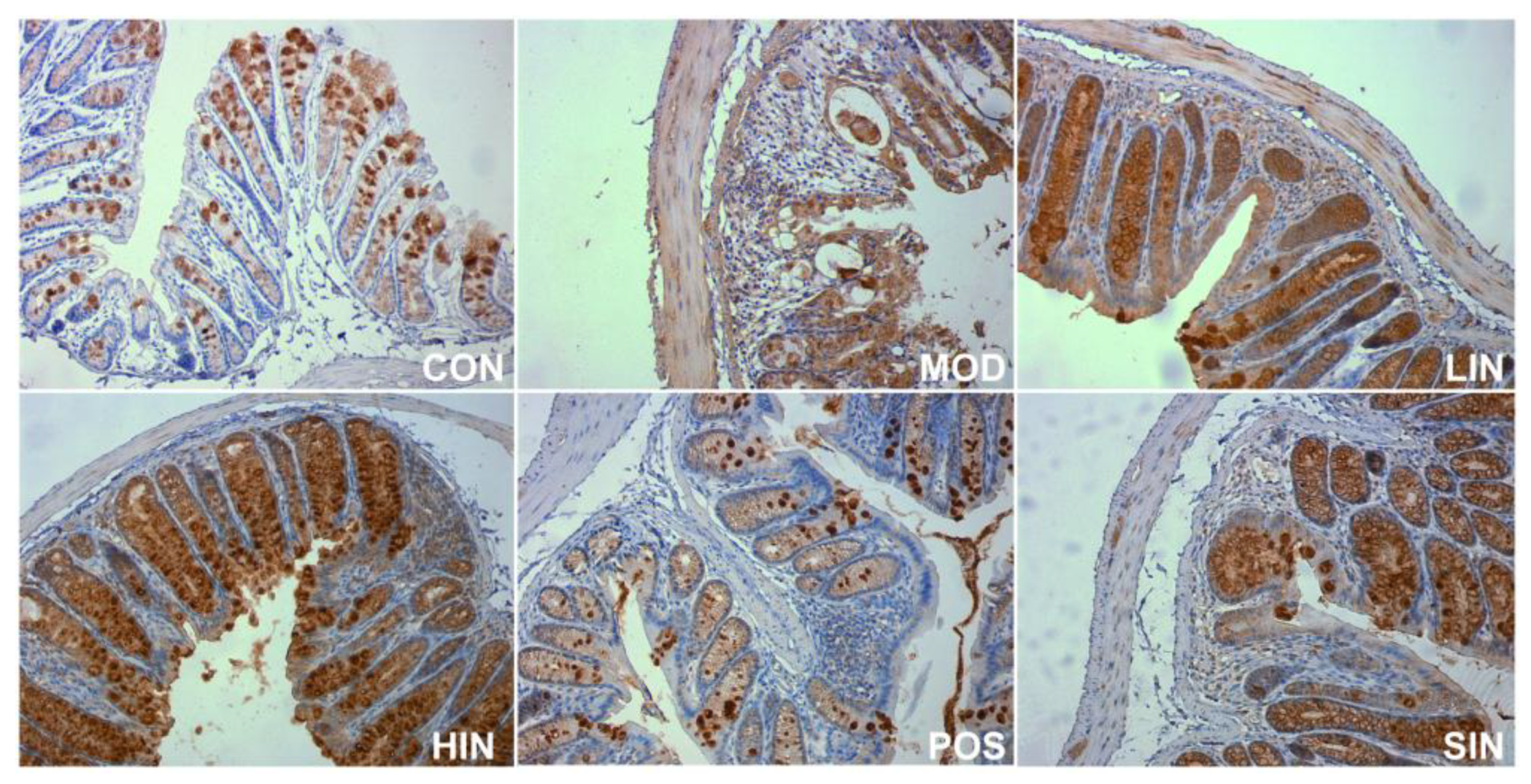 Preprints 153212 g008