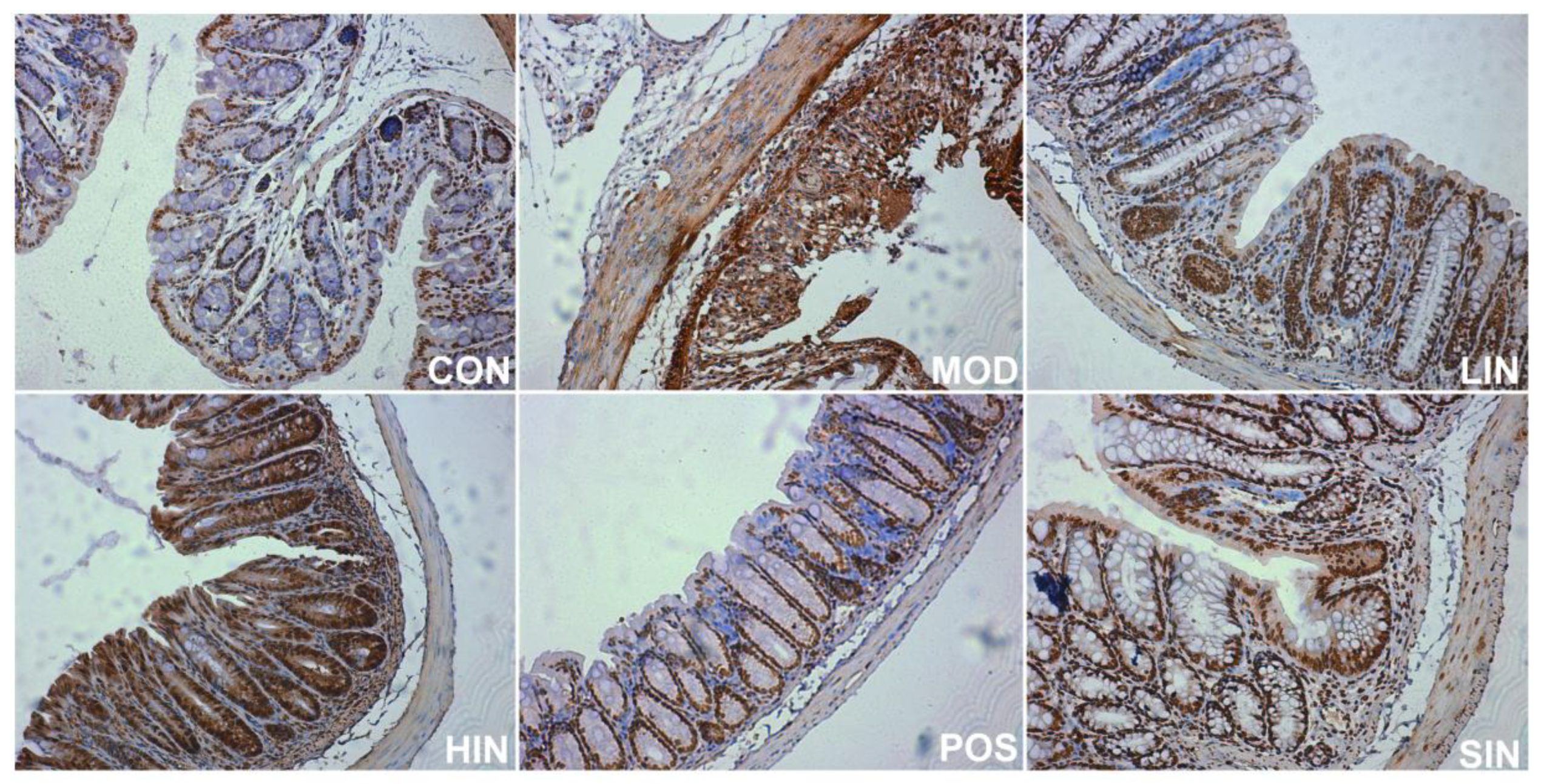 Preprints 153212 g010