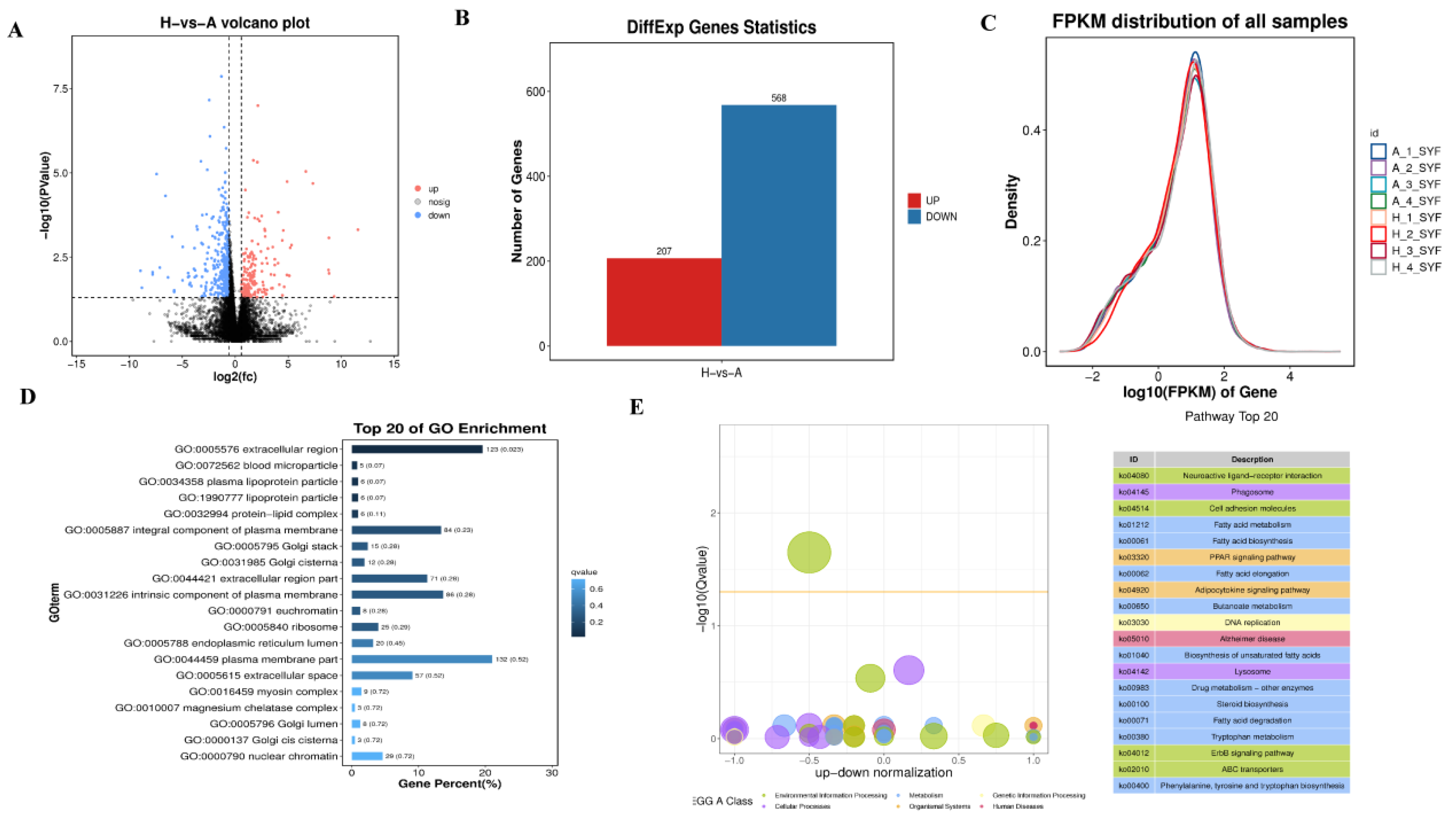 Preprints 213476 g009