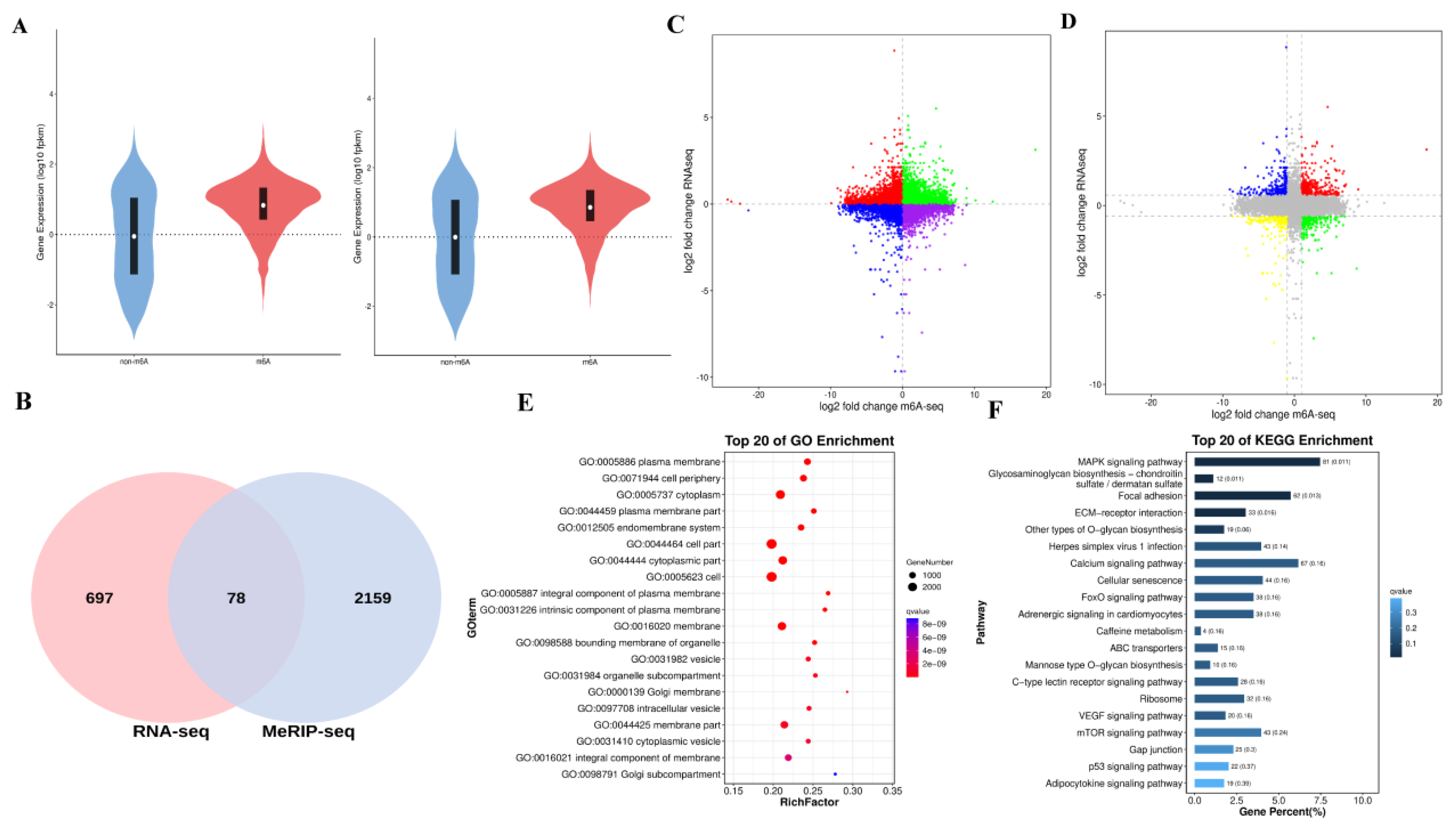 Preprints 213476 g010