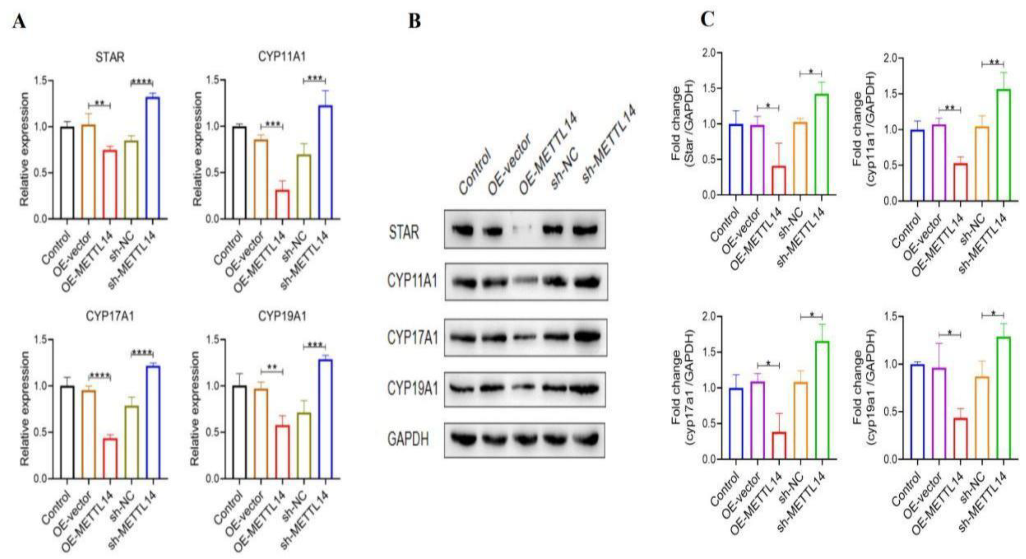 Preprints 213476 g017