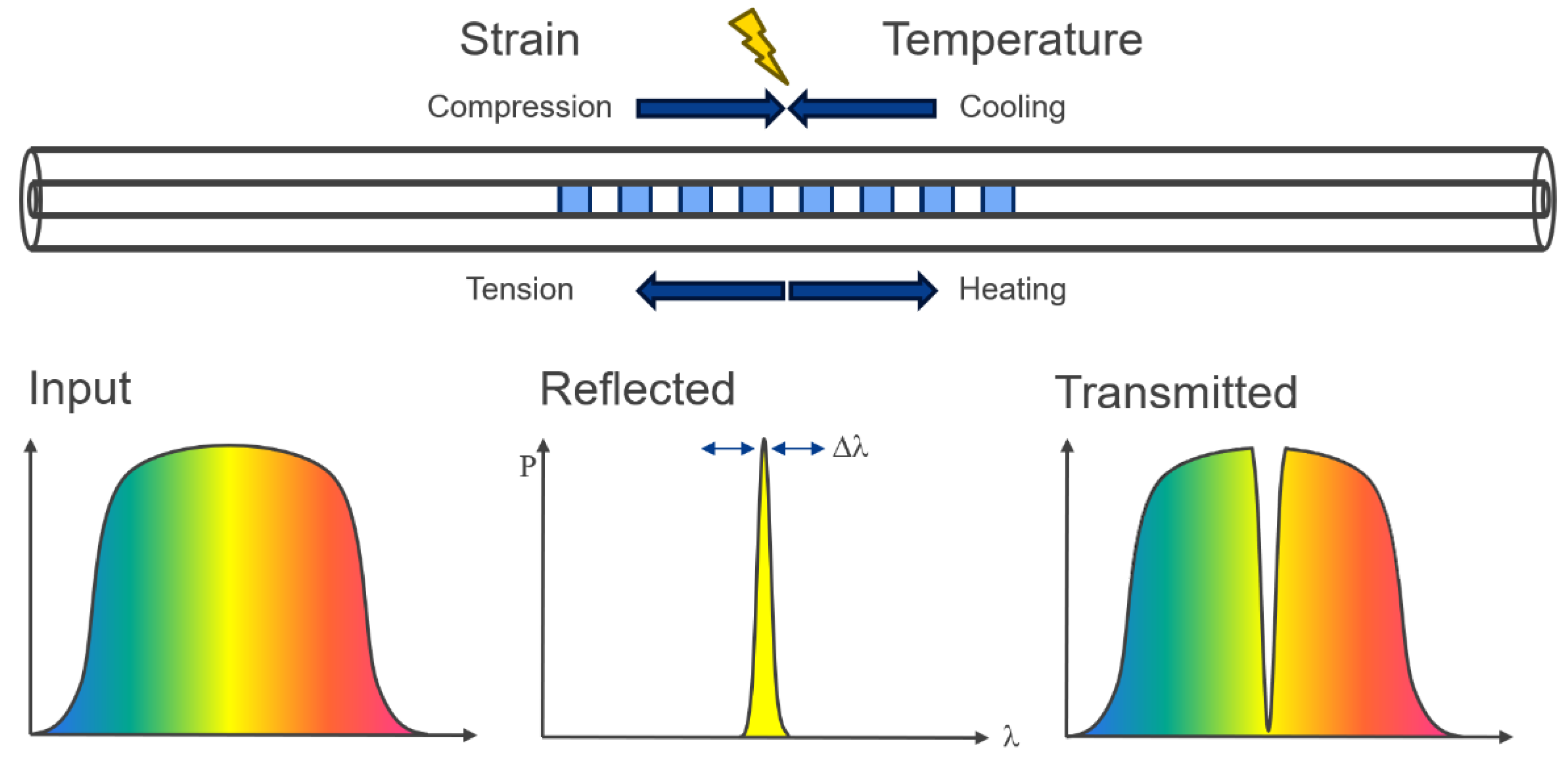 Preprints 152284 g003