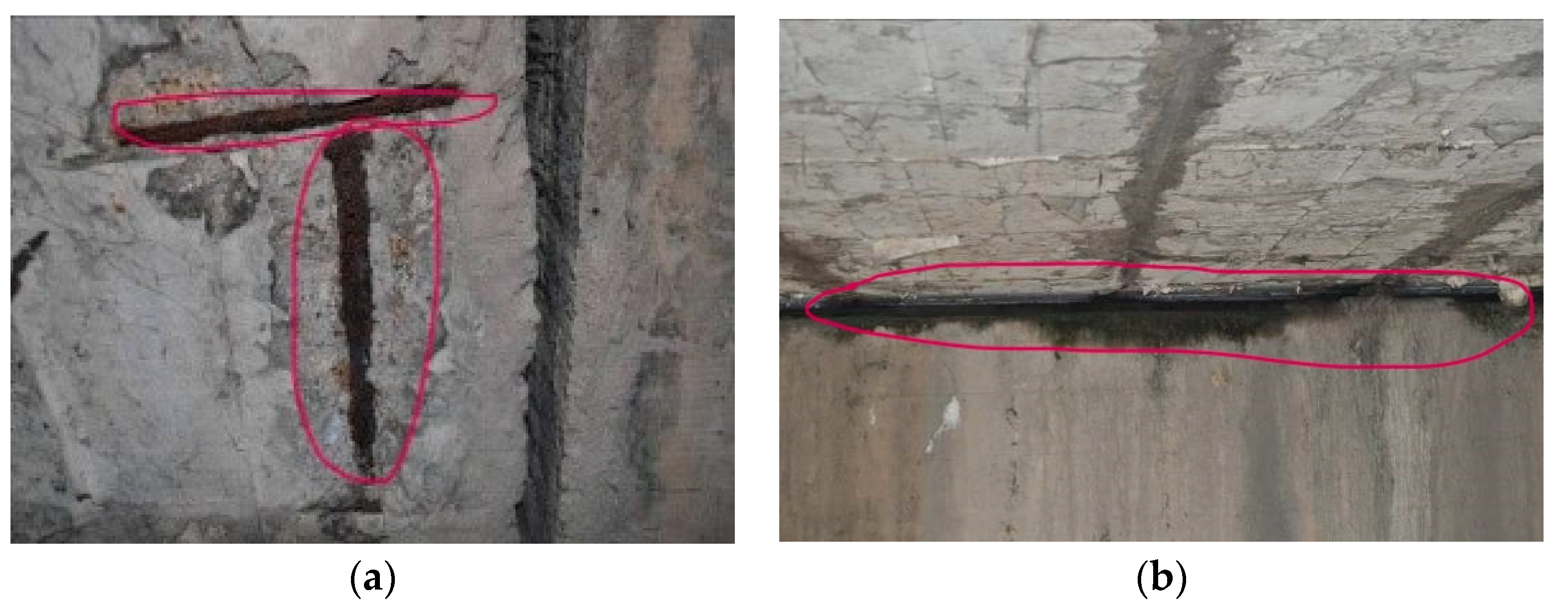 Preprints 139662 g003