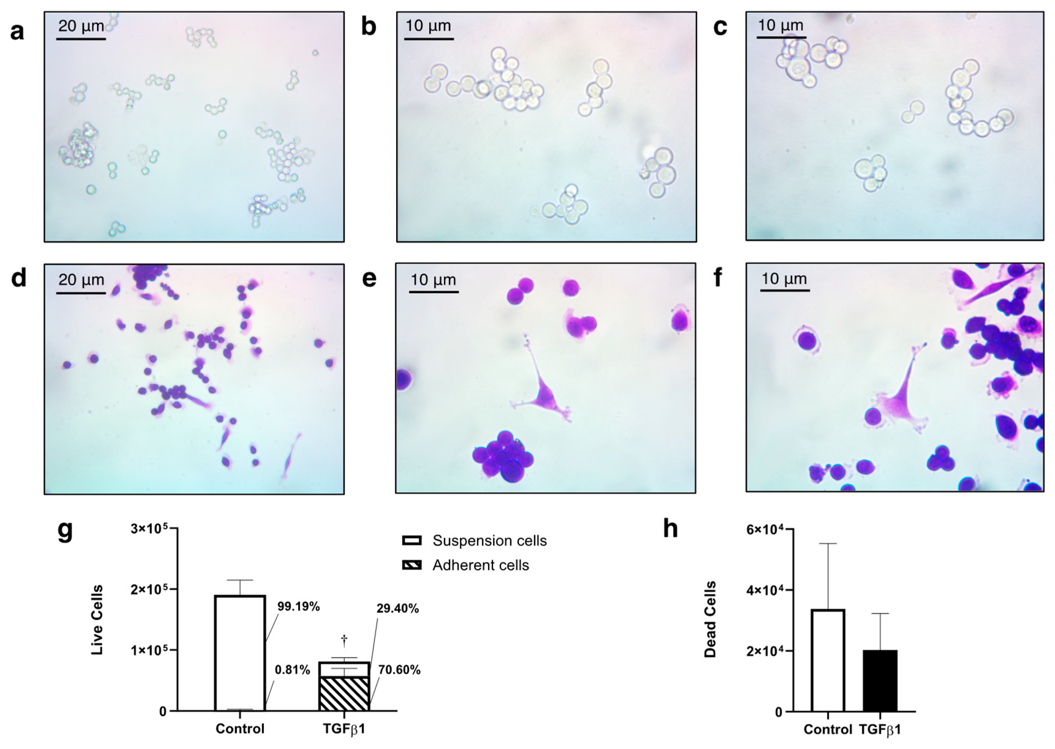 Preprints 79783 g001