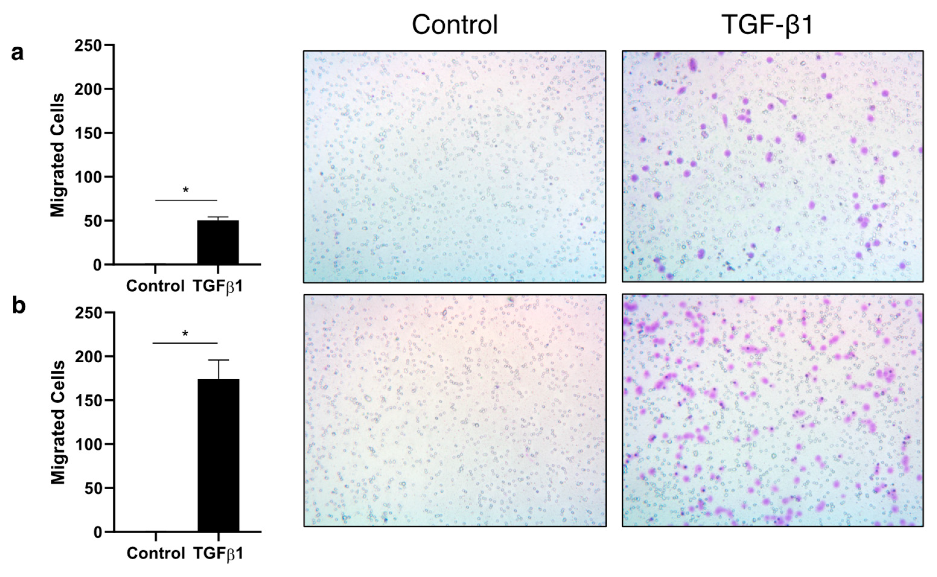 Preprints 79783 g002