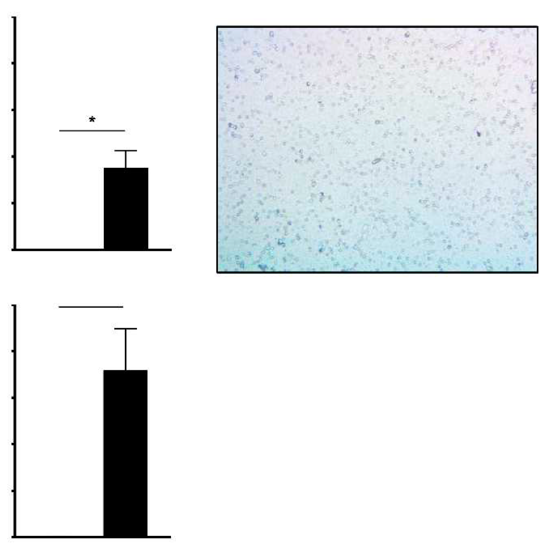 Preprints 79783 g003