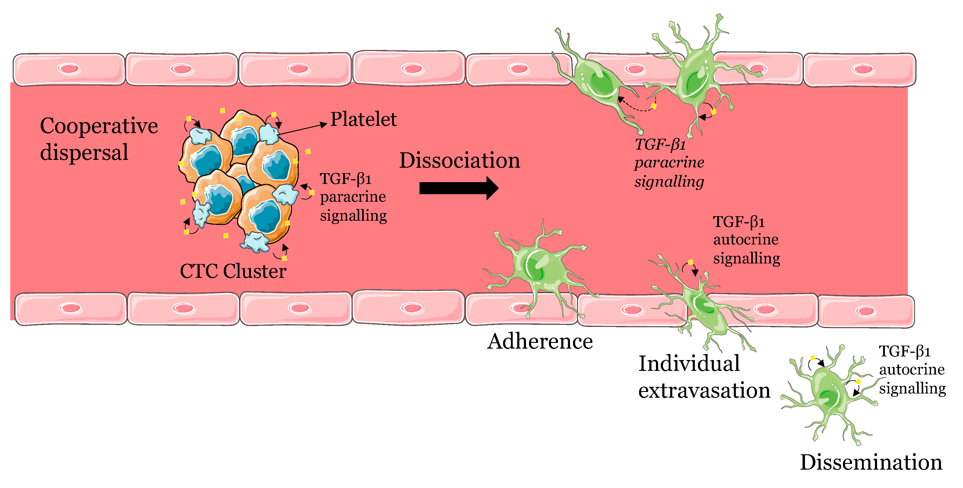 Preprints 79783 g008