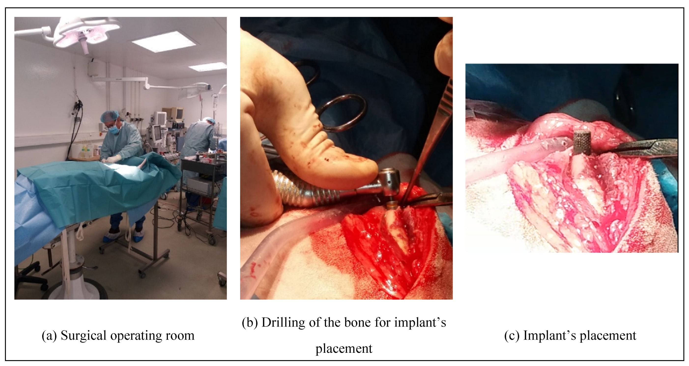 Preprints 73967 g003