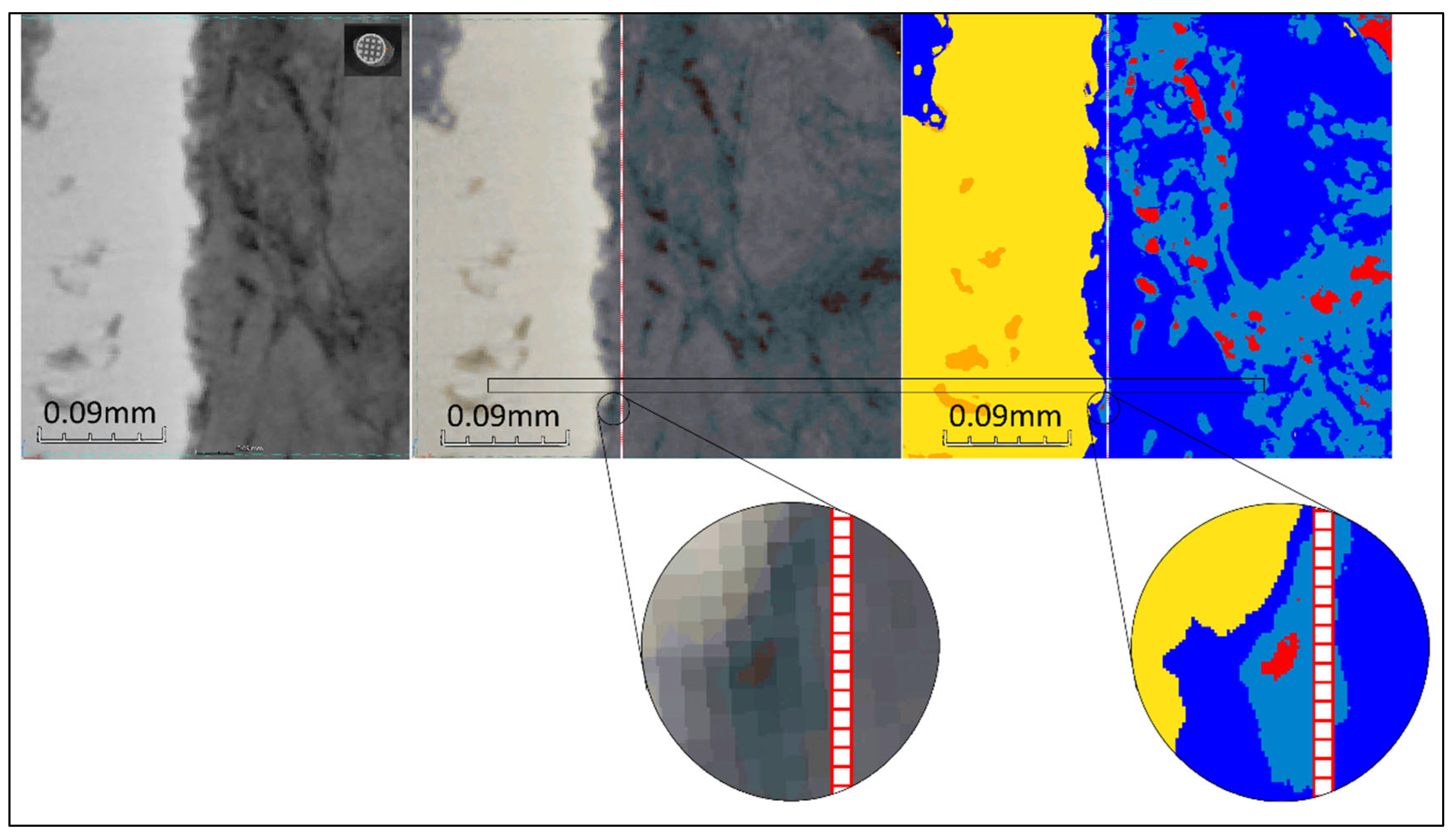 Preprints 73967 g011