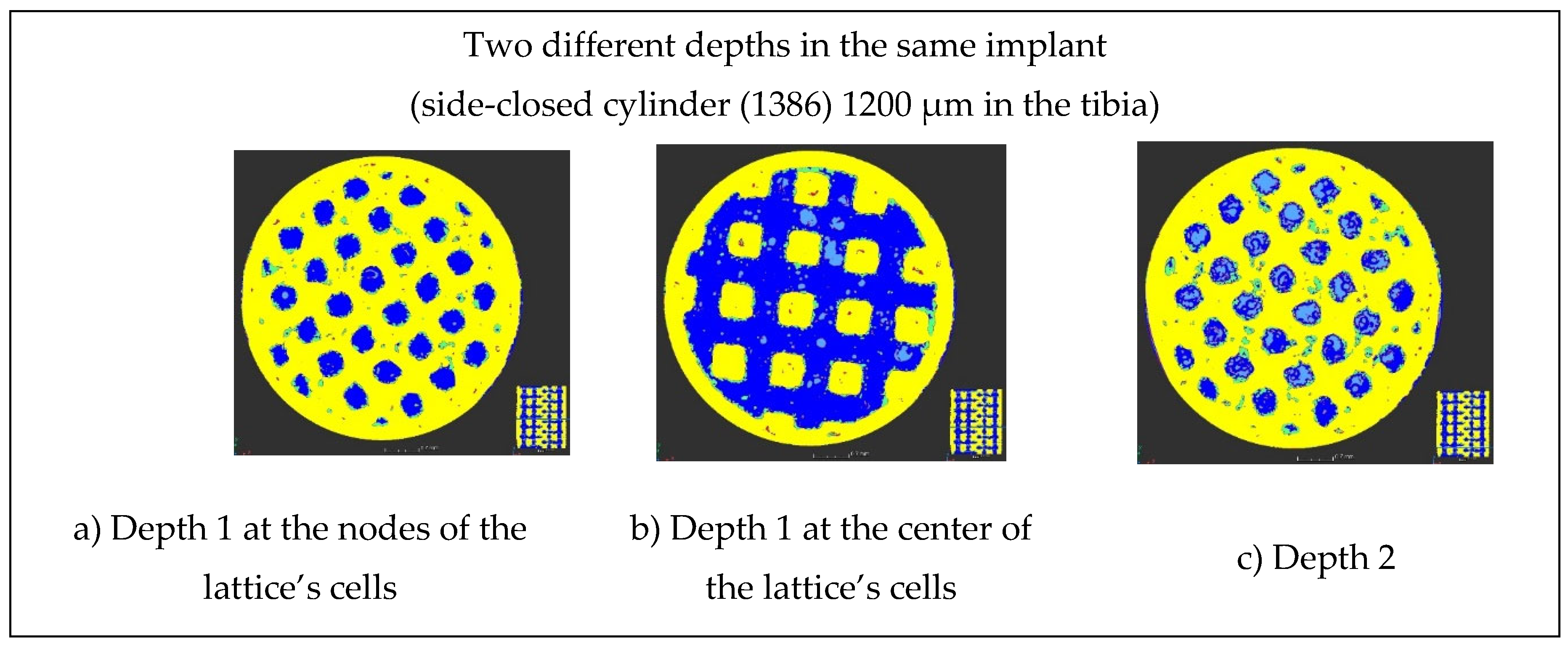 Preprints 73967 g015