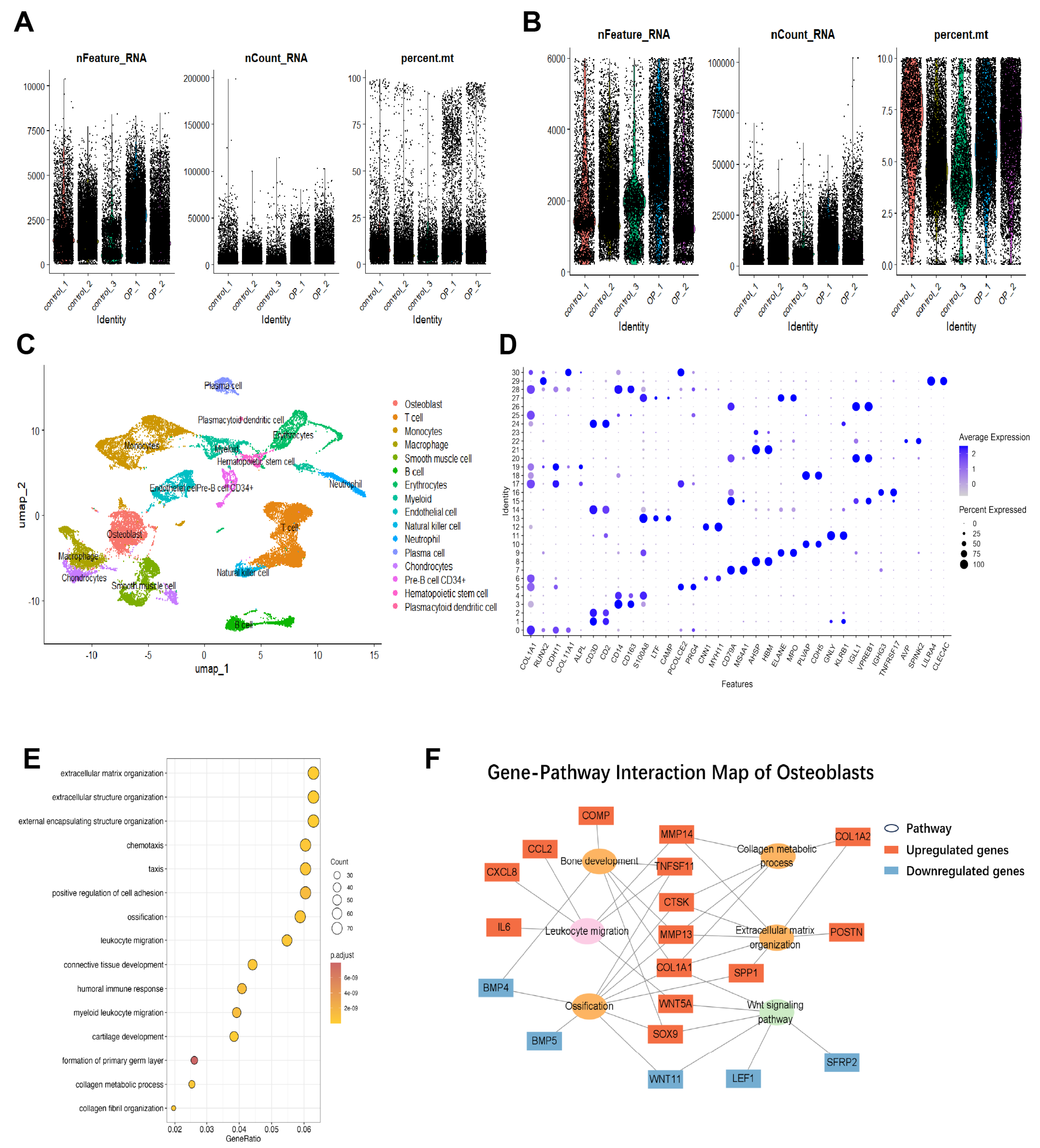 Preprints 223370 g001