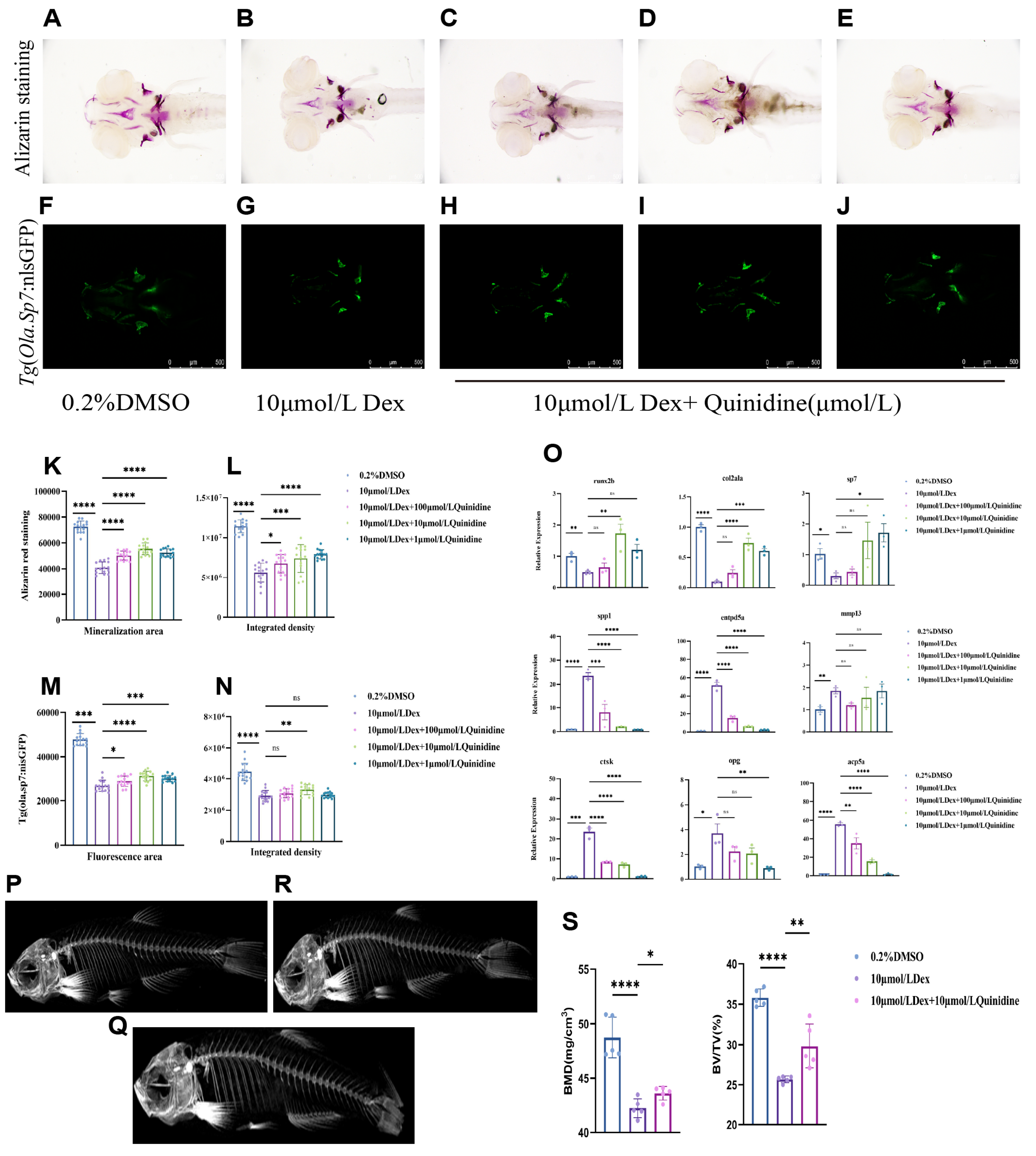 Preprints 223370 g003