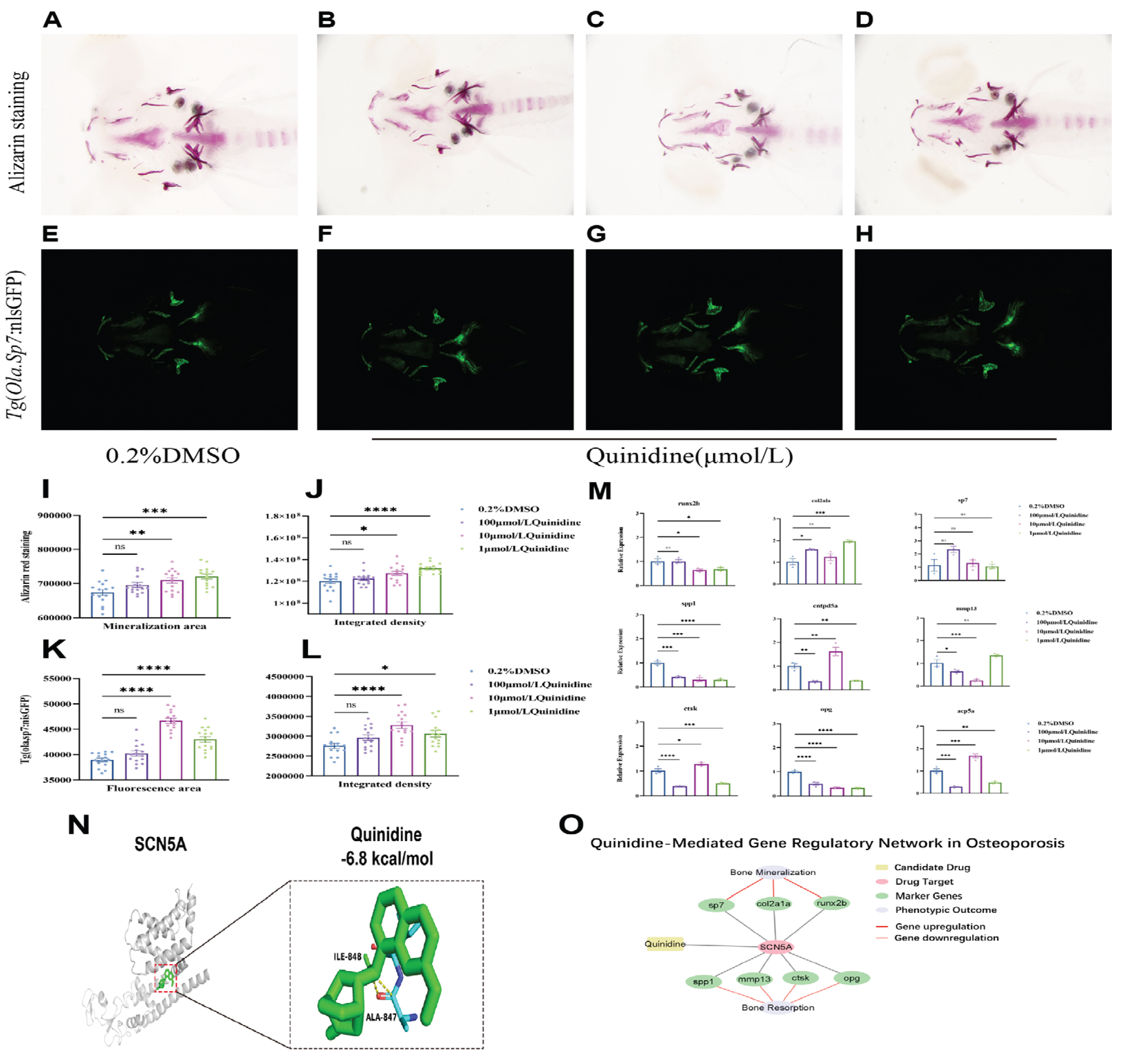 Preprints 223370 g004