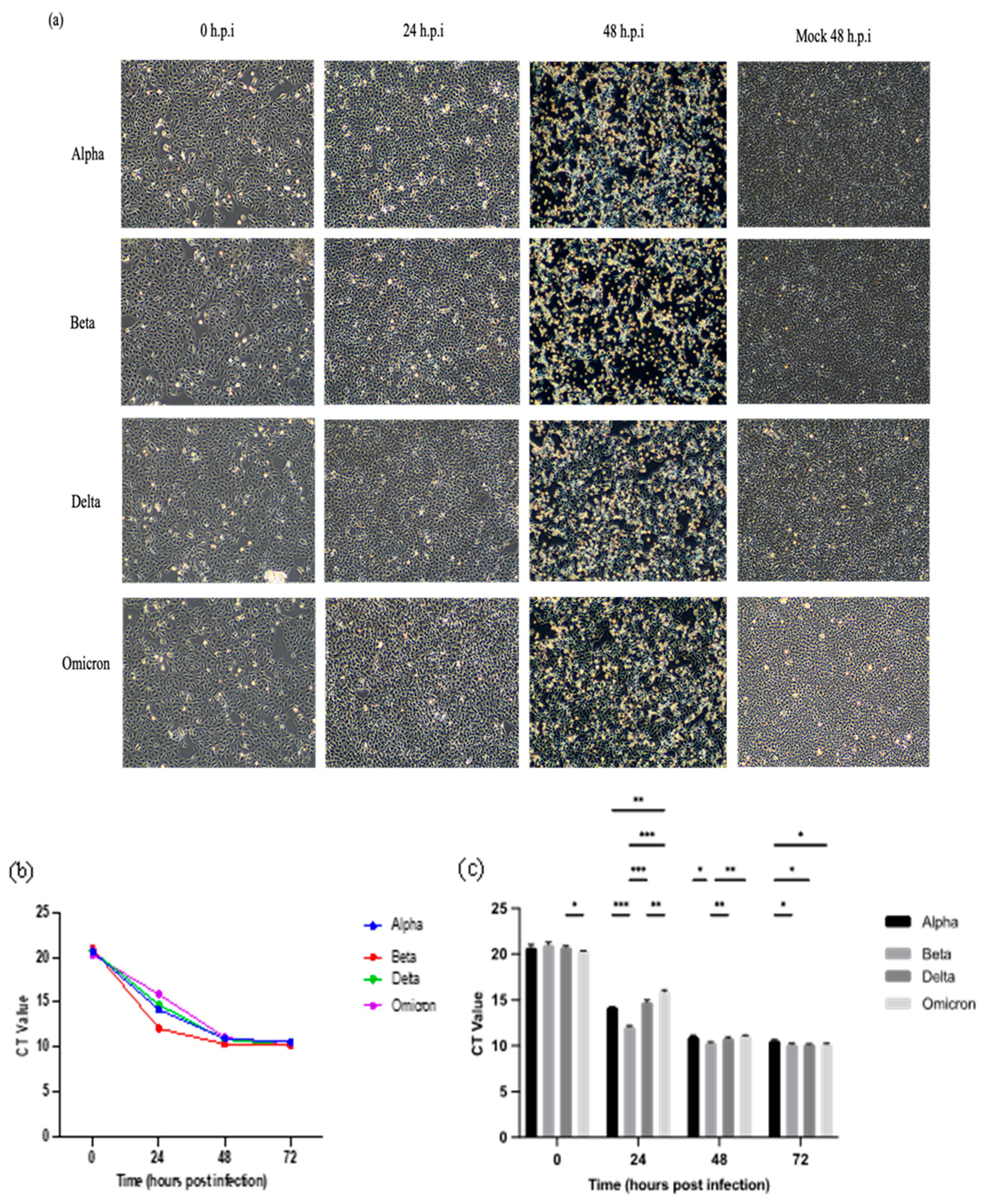 Preprints 115102 g001