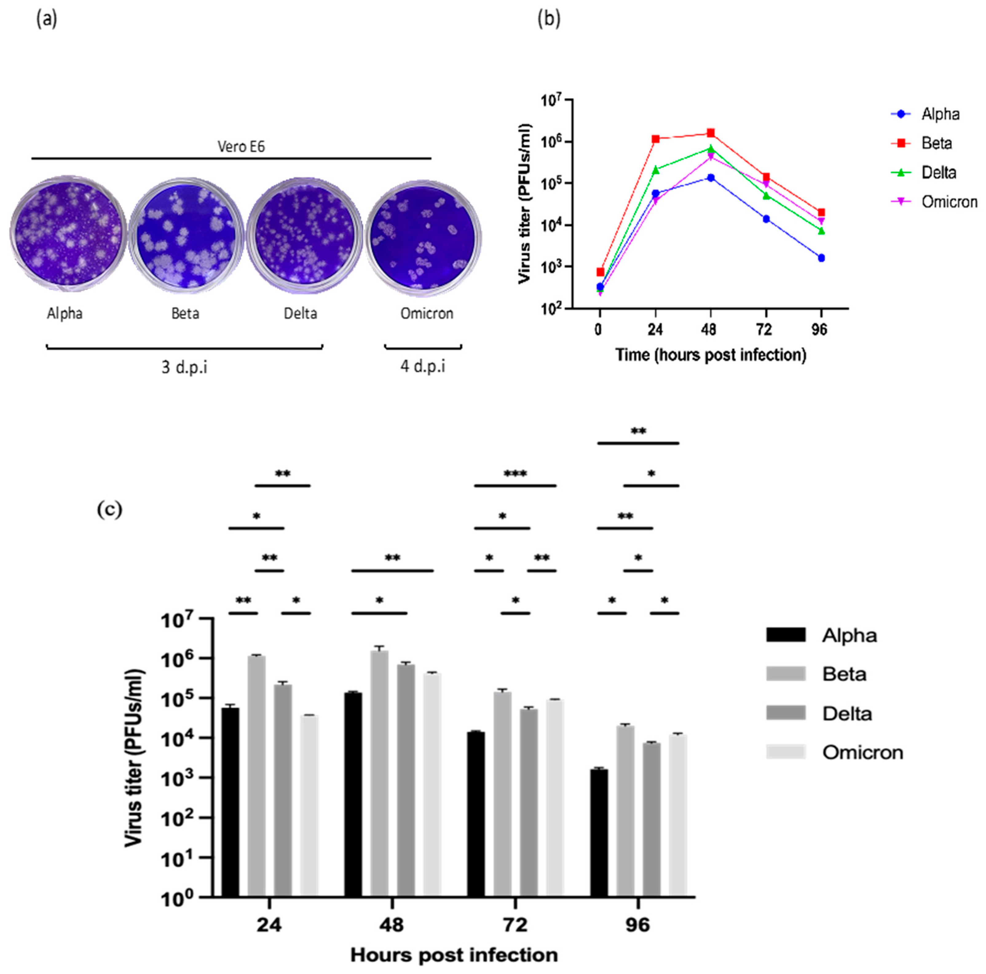 Preprints 115102 g002