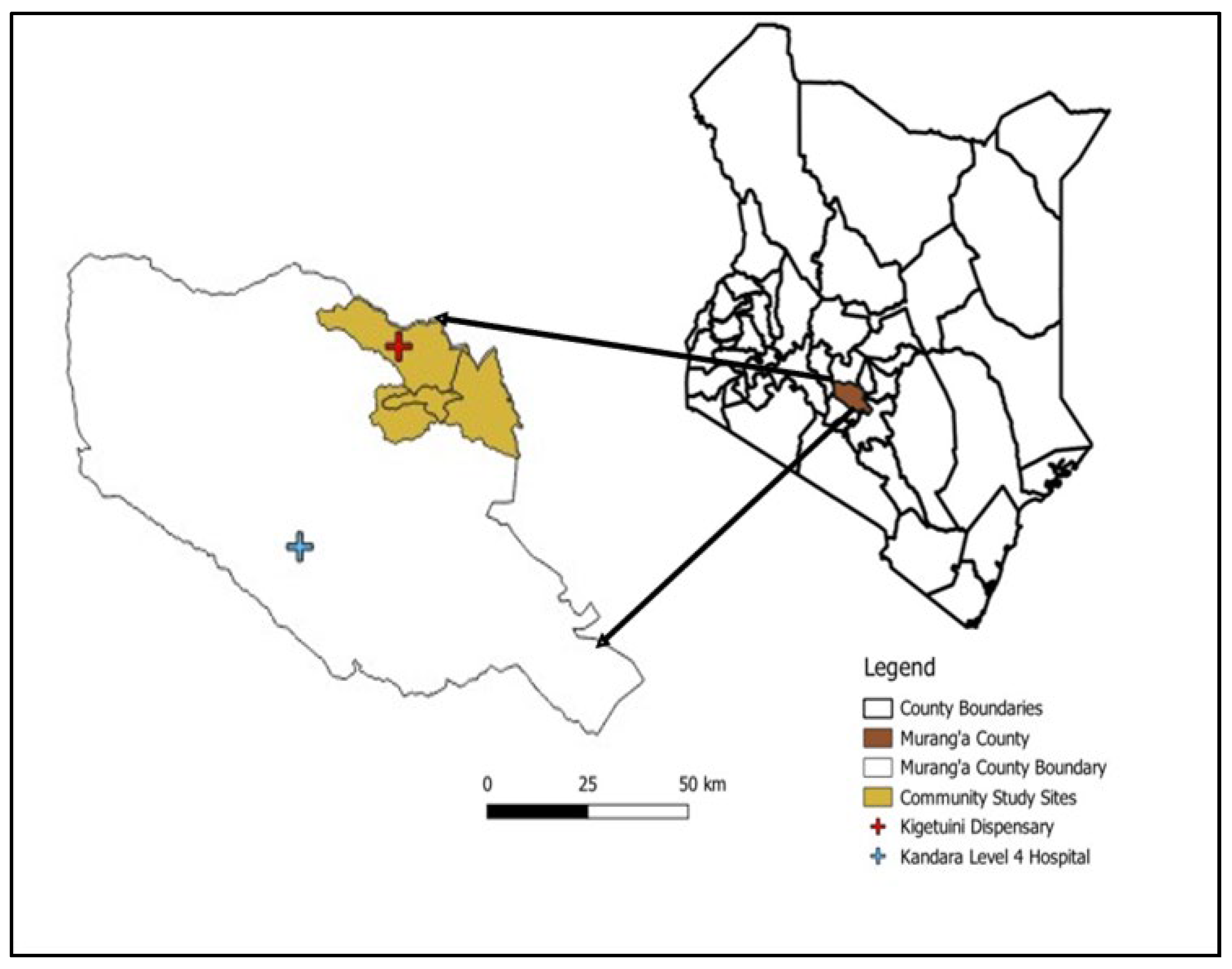 Preprints 120562 g001