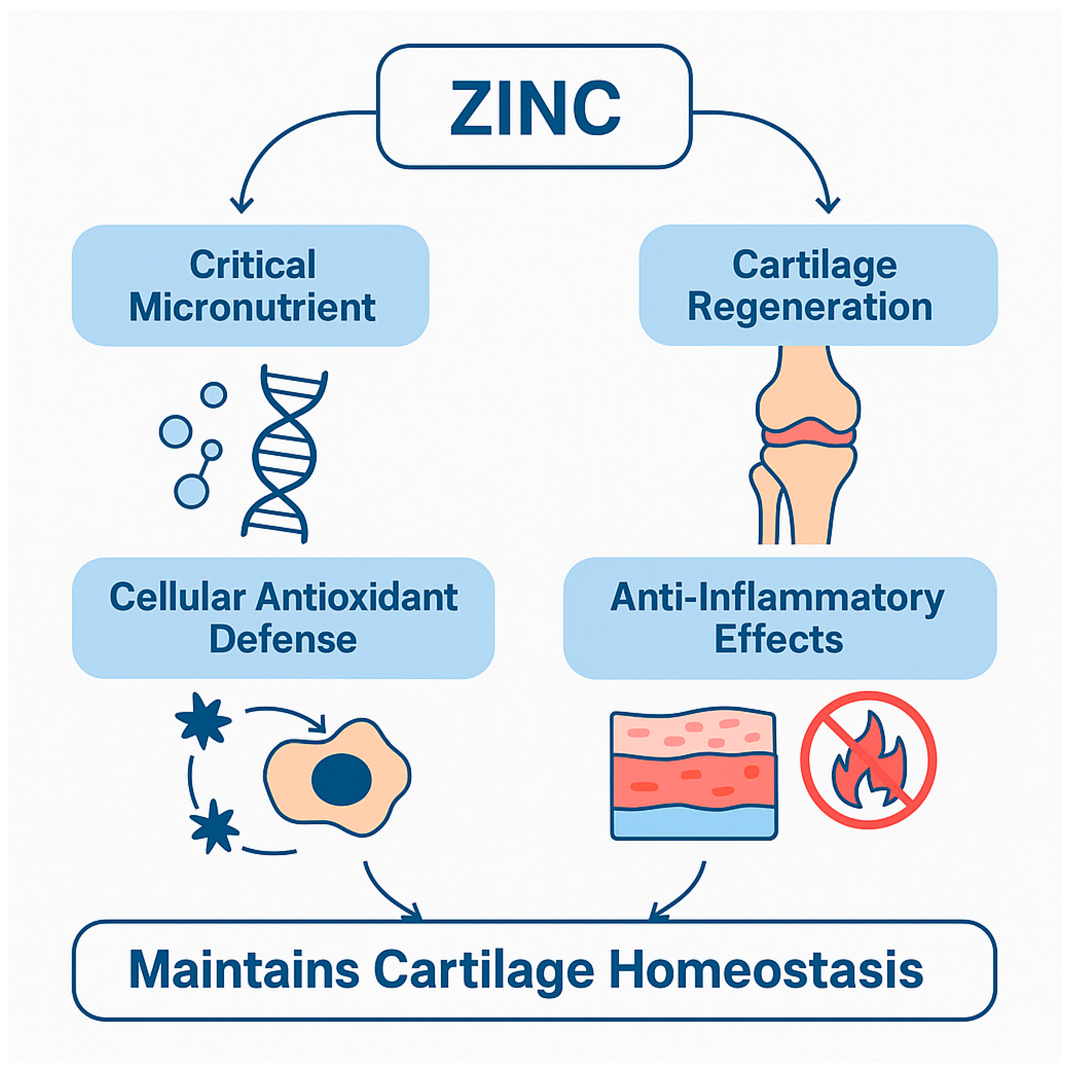 Preprints 161090 g001