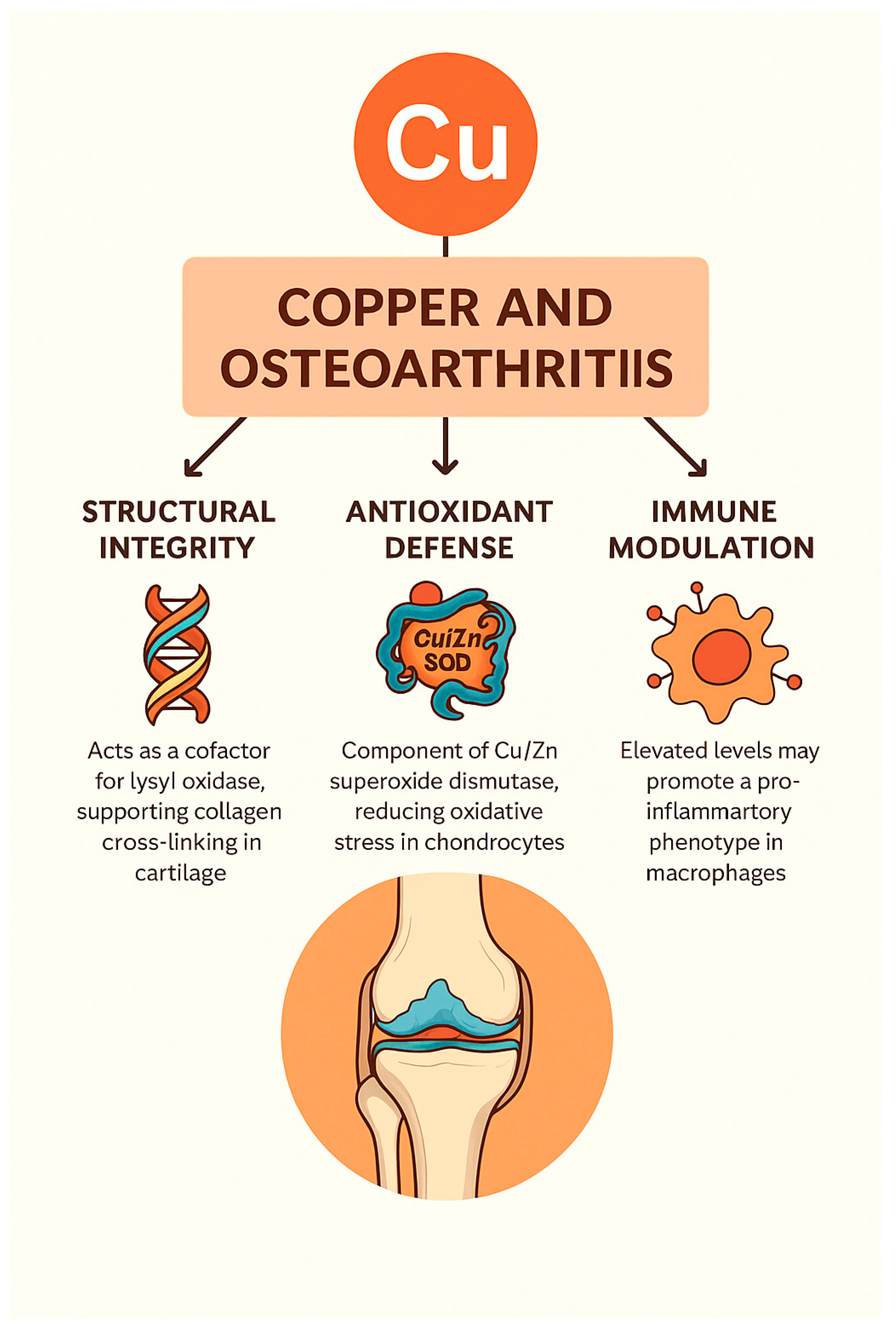 Preprints 161090 g002