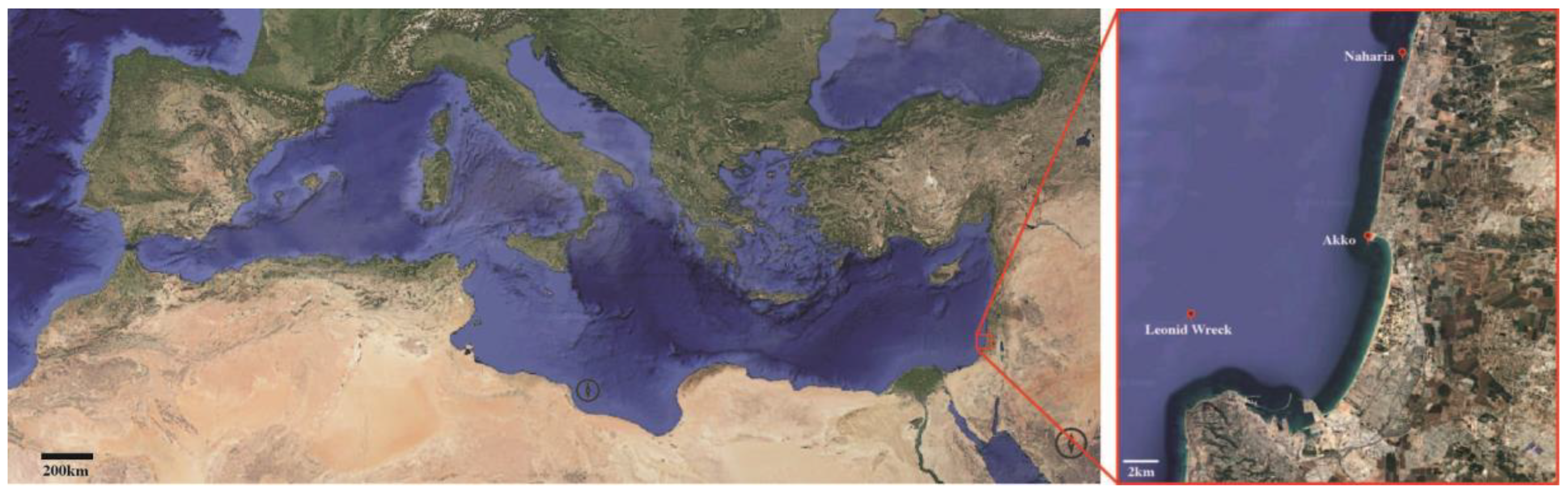Preprints 168140 g001