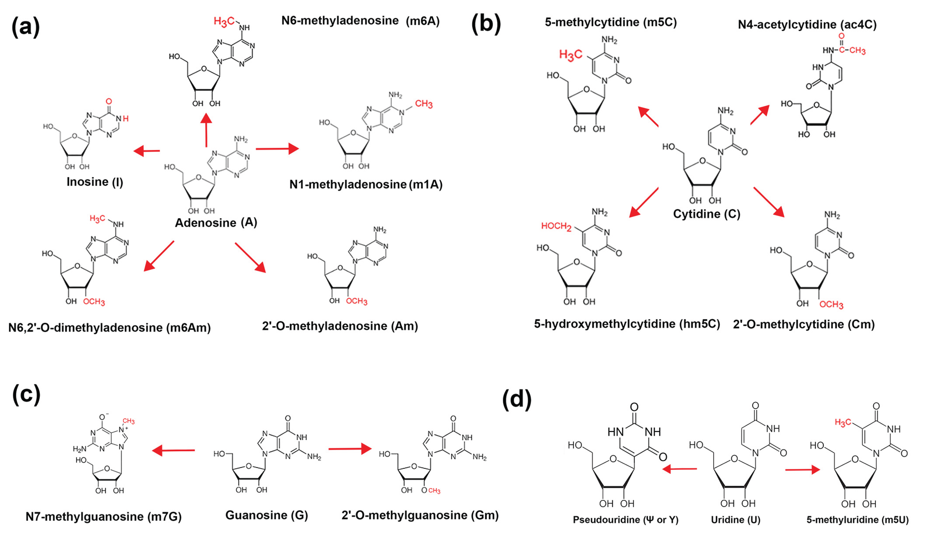 Preprints 165900 g001