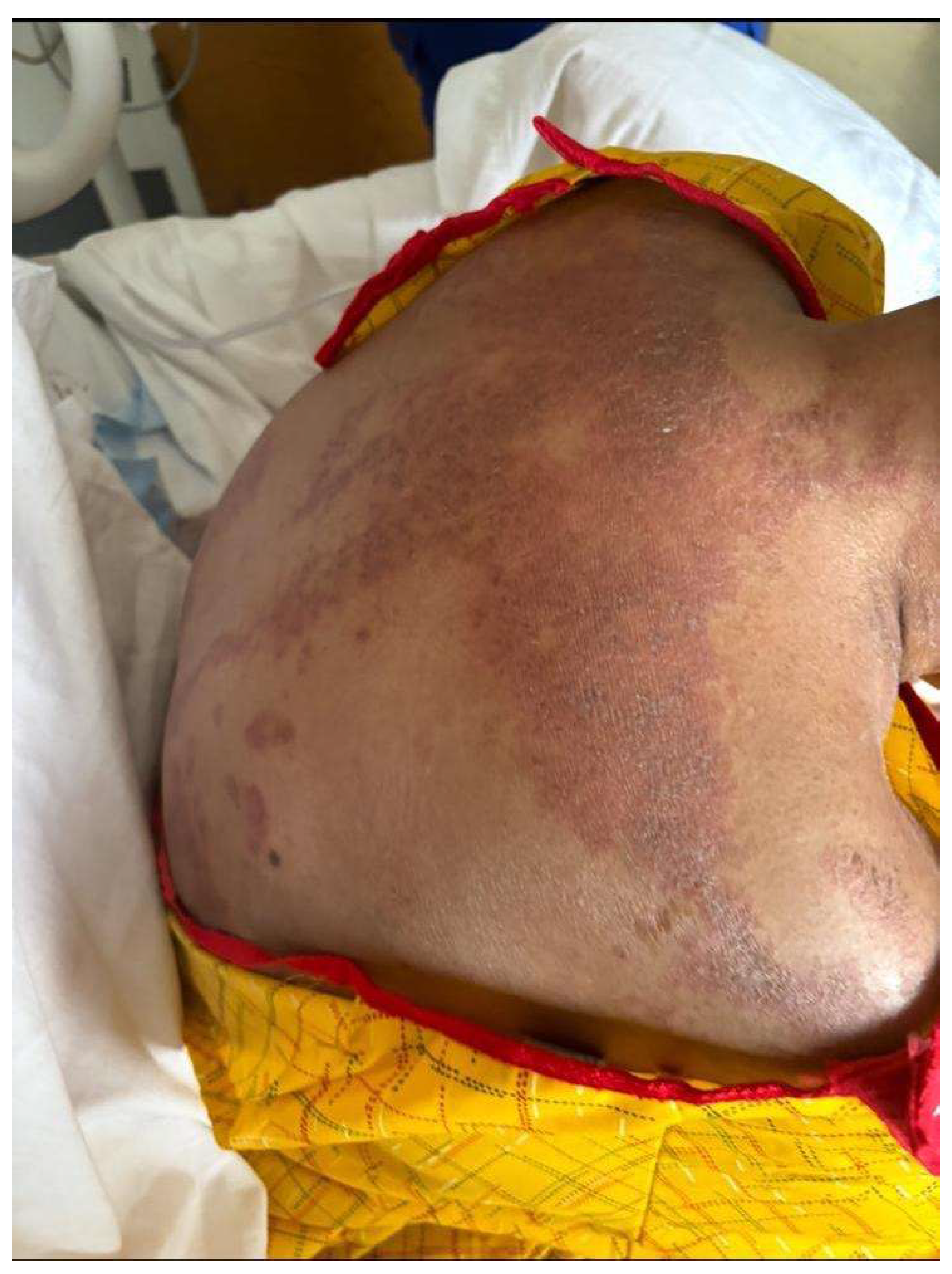 Preprints 195473 g001