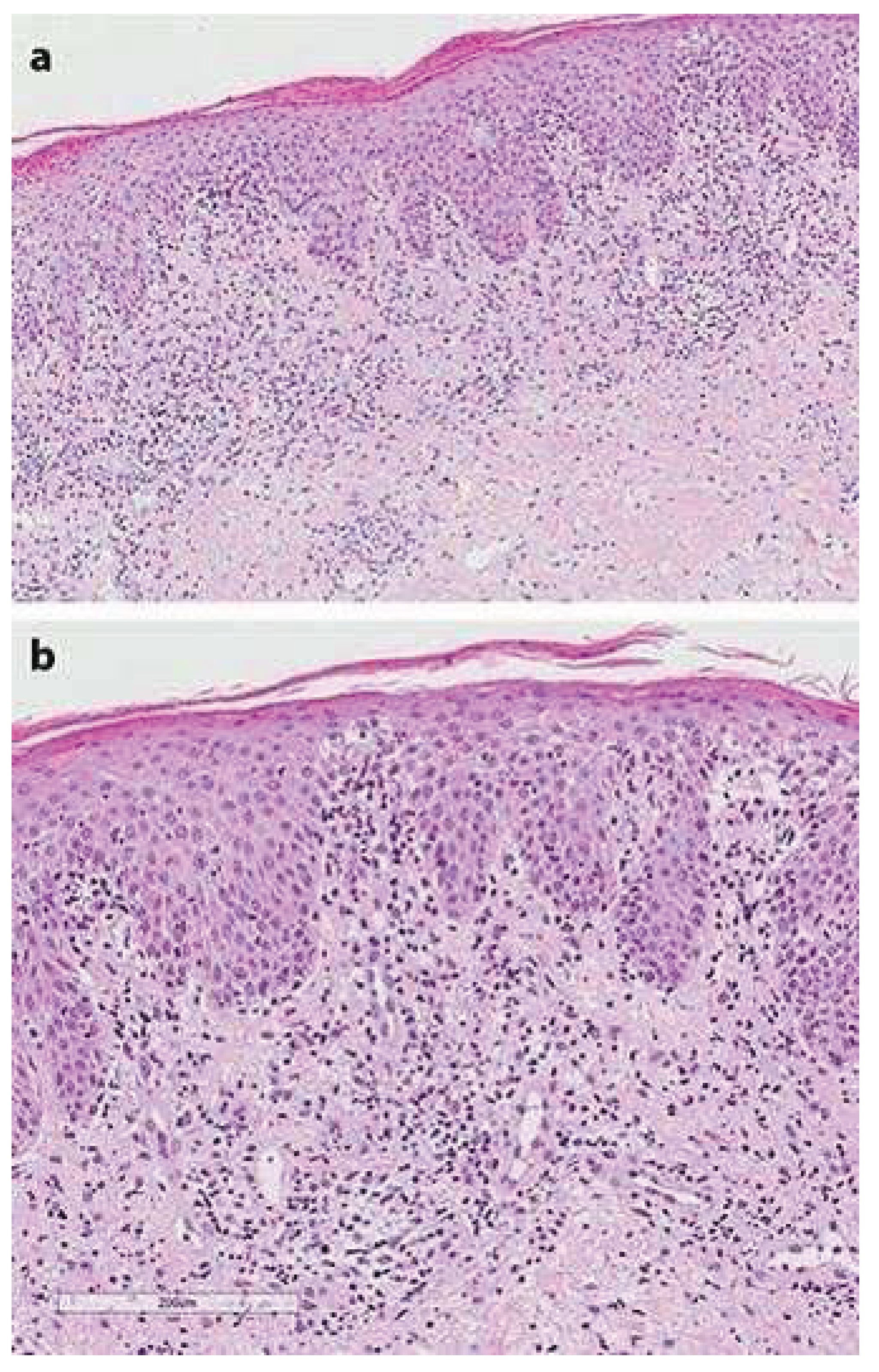 Preprints 195473 g002