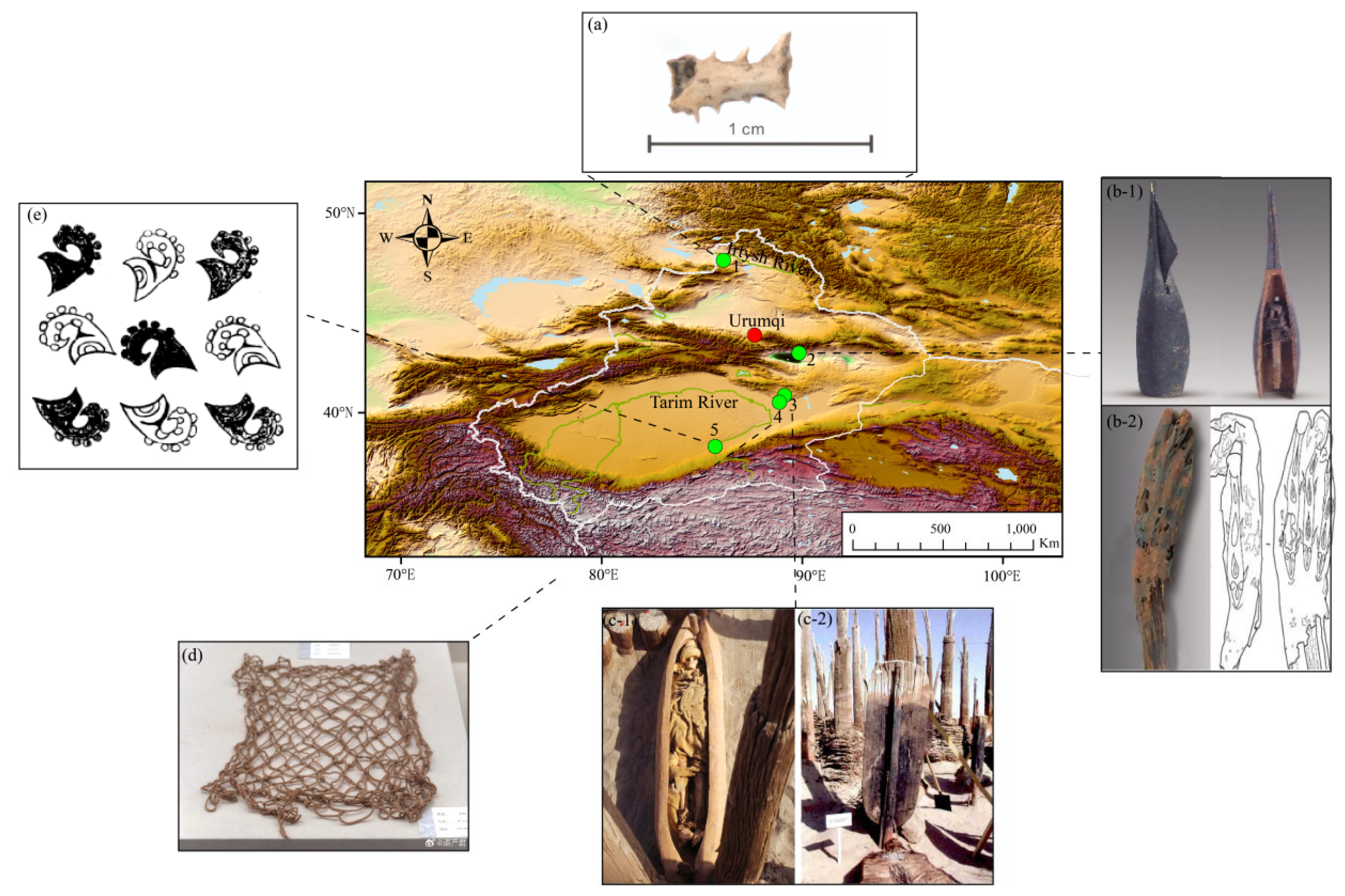 Preprints 202951 g001
