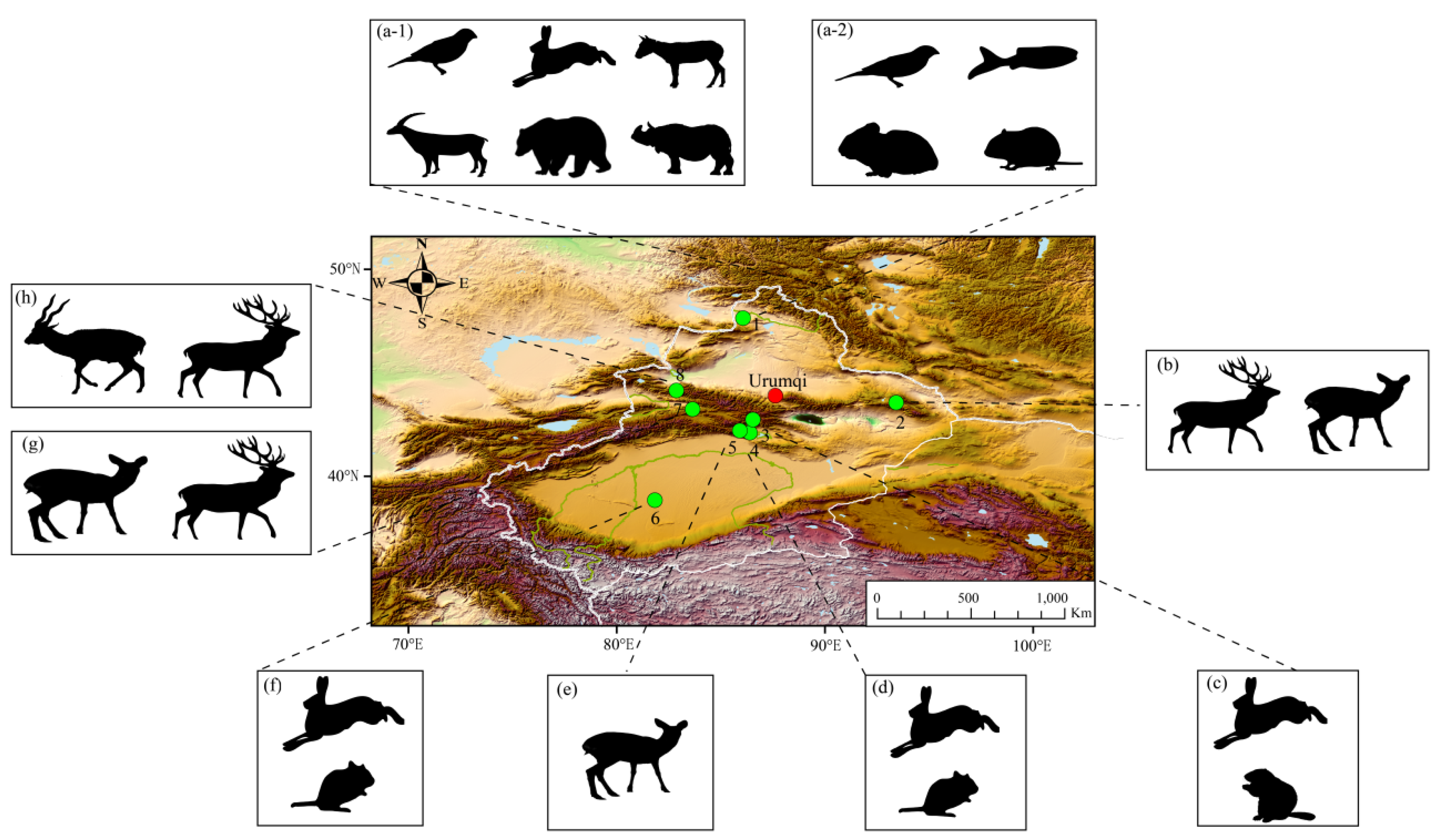 Preprints 202951 g003