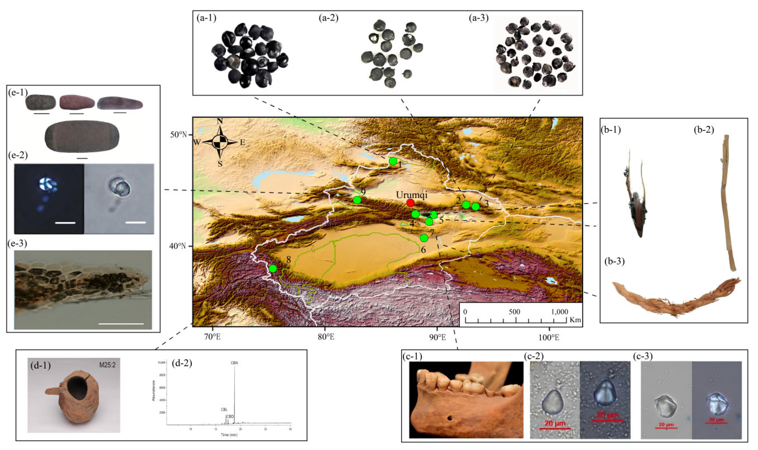 Preprints 202951 g005