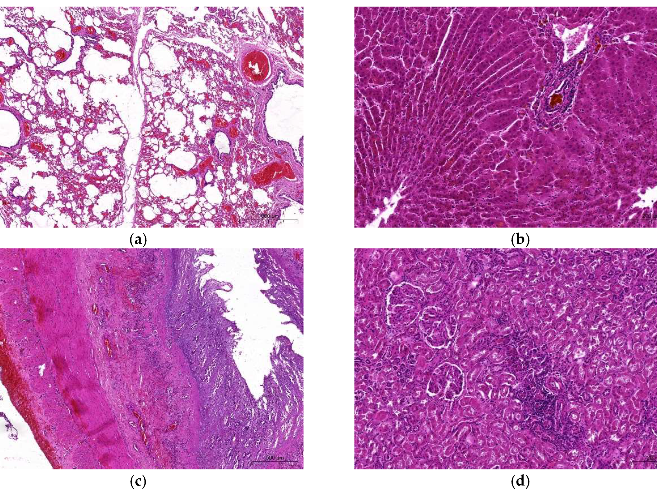 Preprints 151479 g005