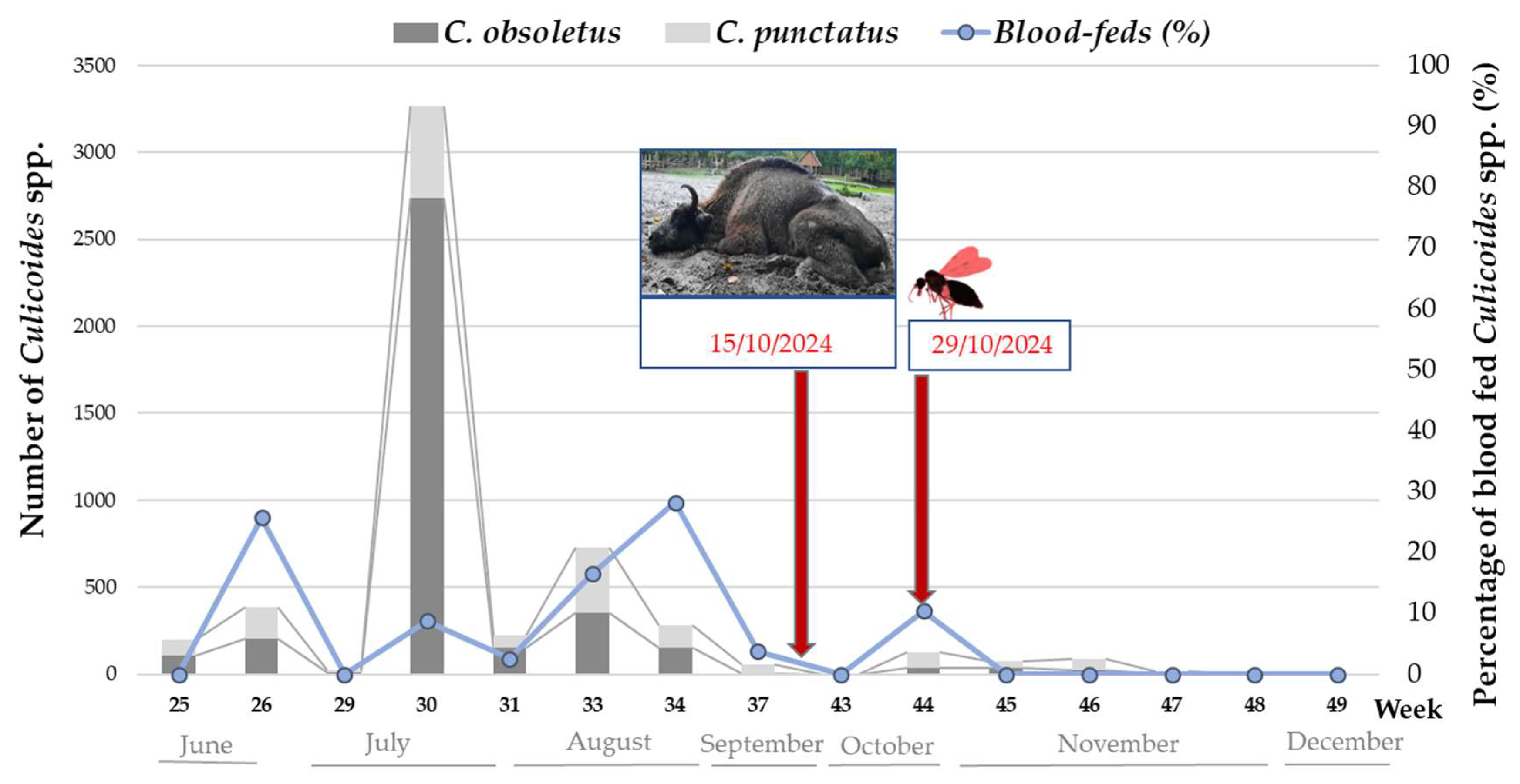 Preprints 151479 g007