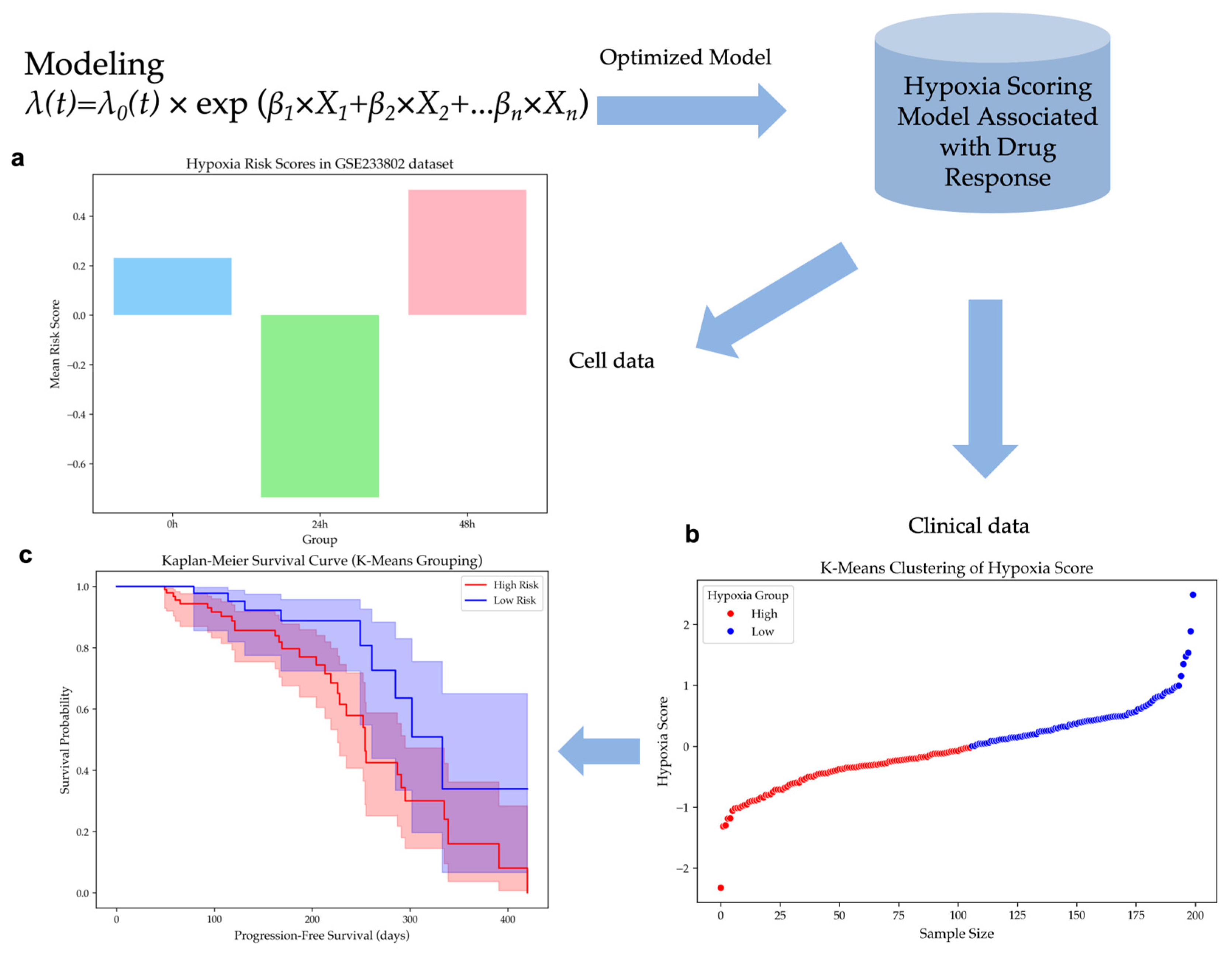 Preprints 153035 g002