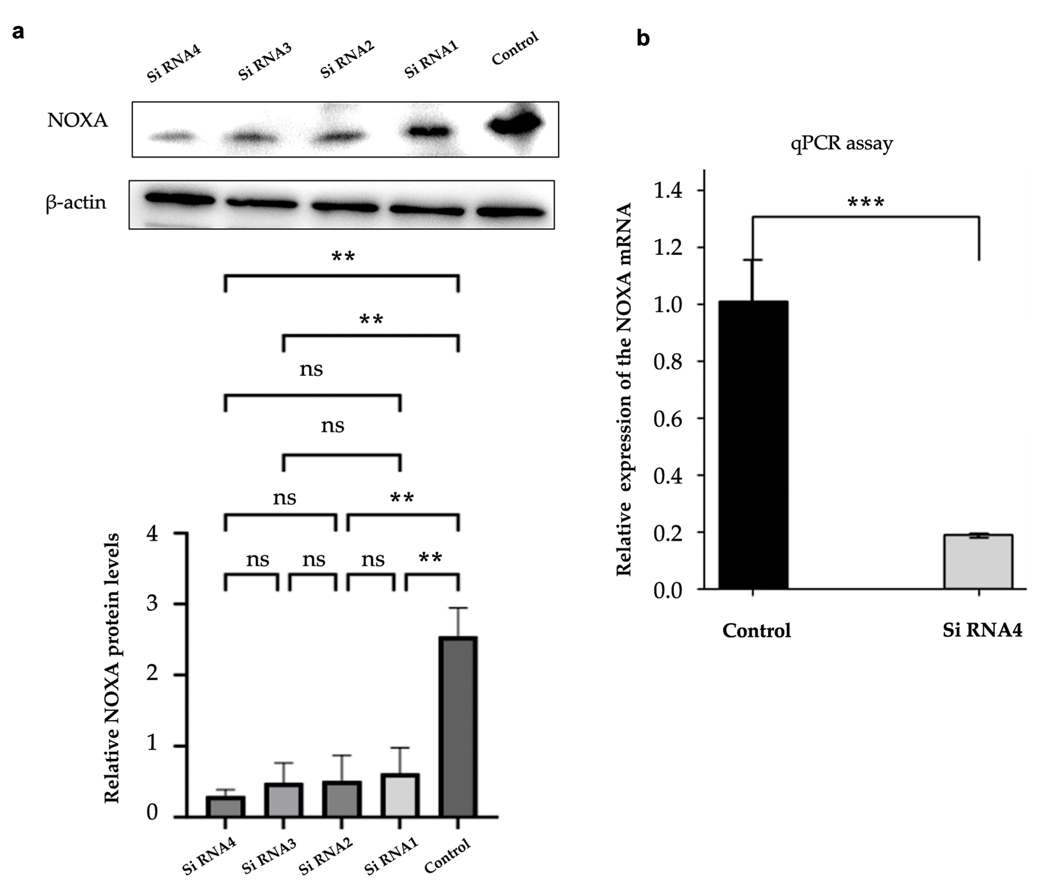 Preprints 153035 g004