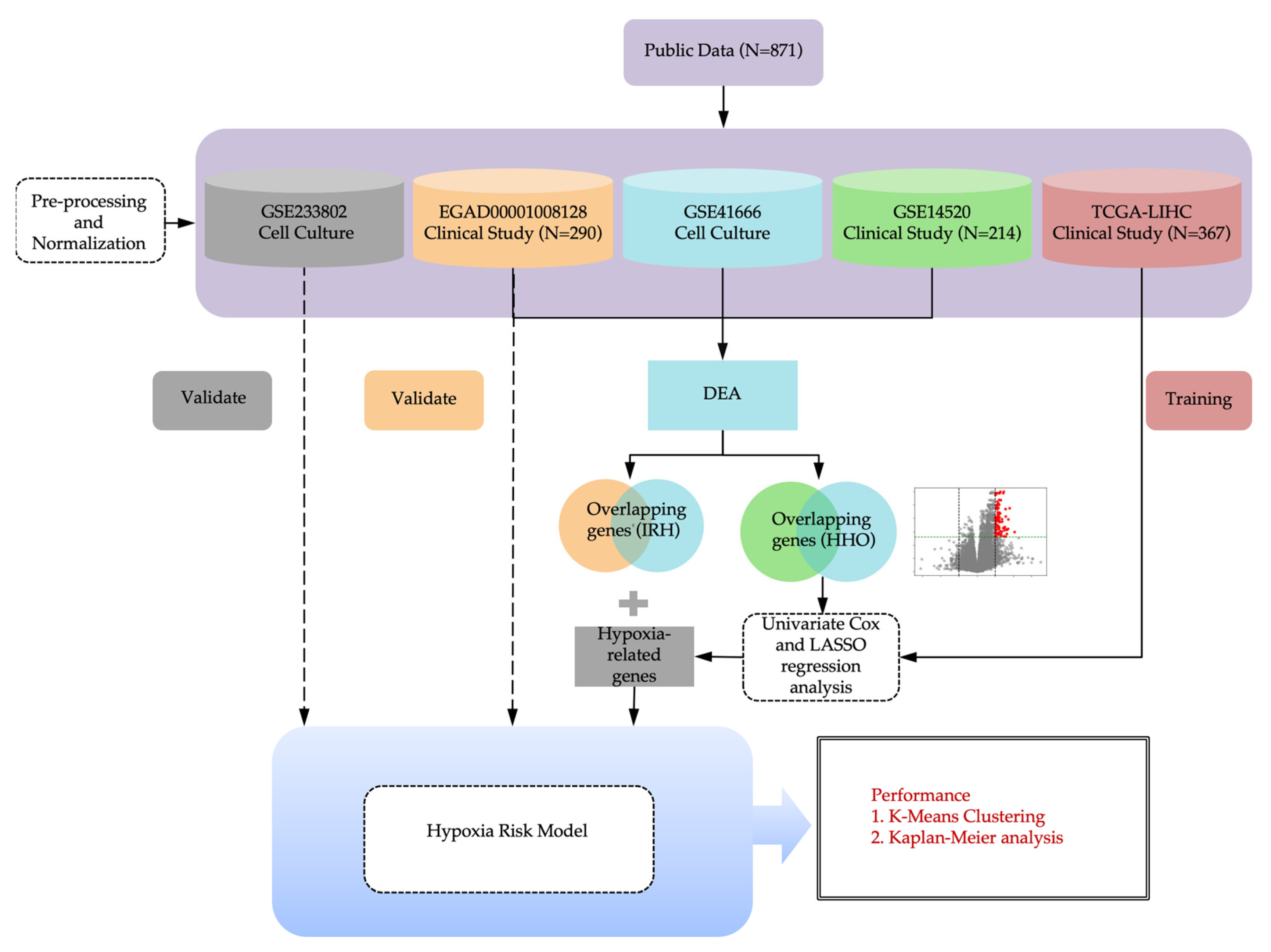 Preprints 153035 g006