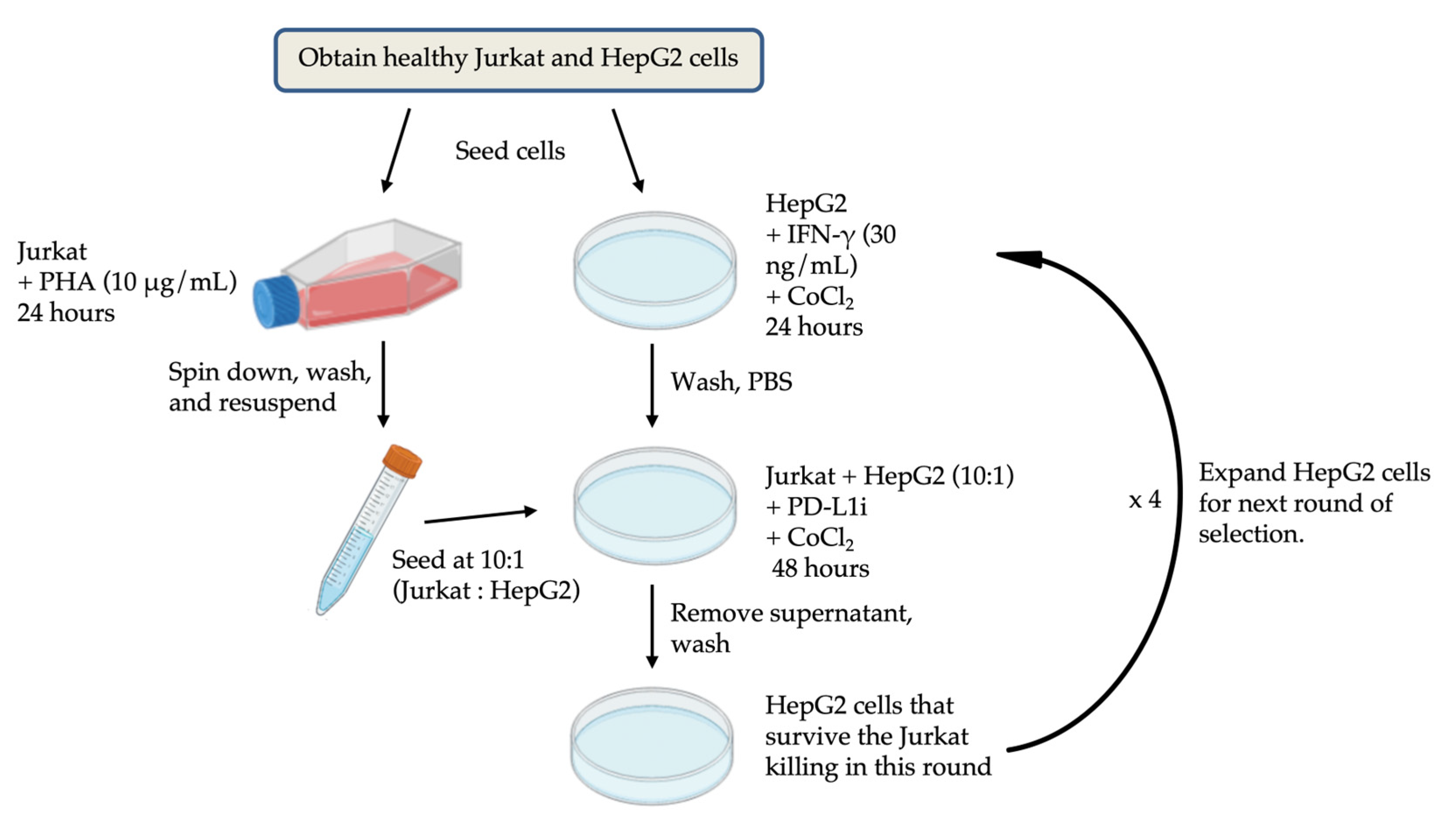 Preprints 153035 g007