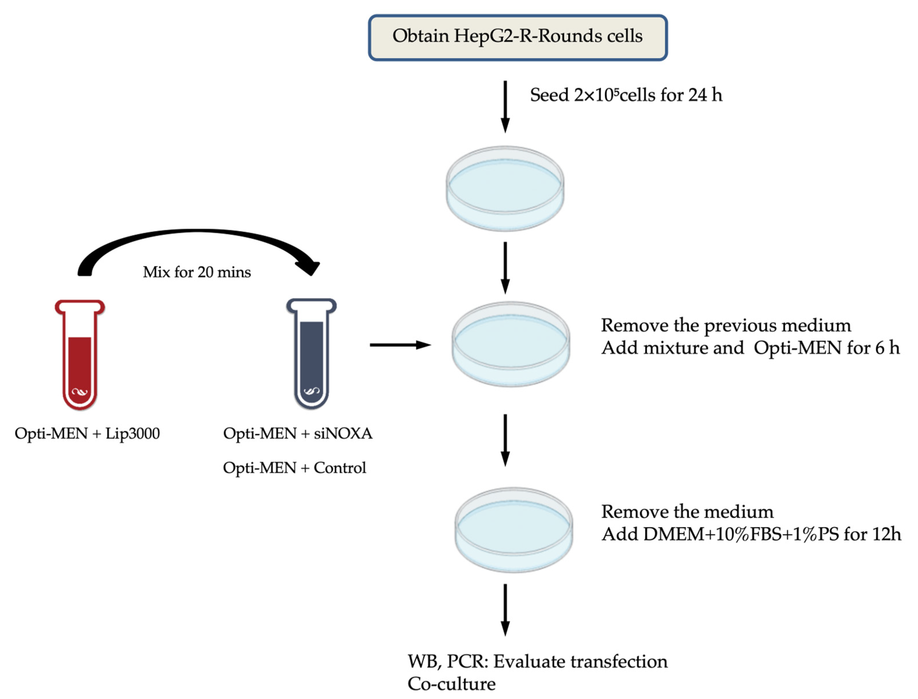 Preprints 153035 g008