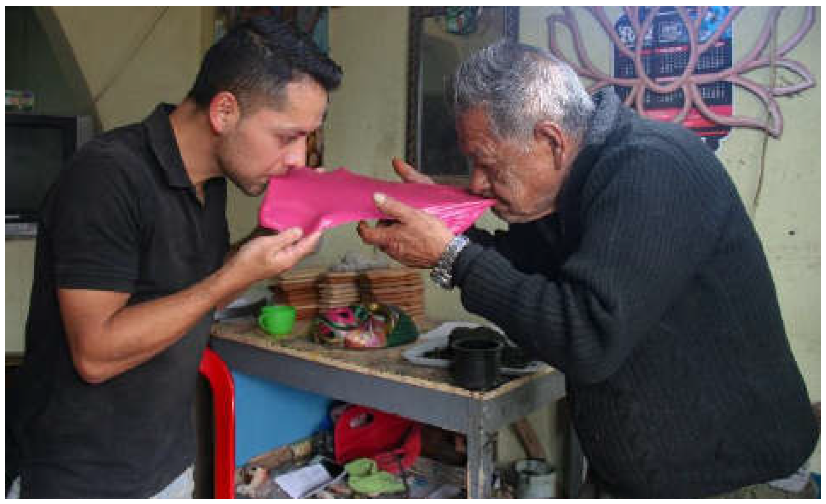 Preprints 110478 g003