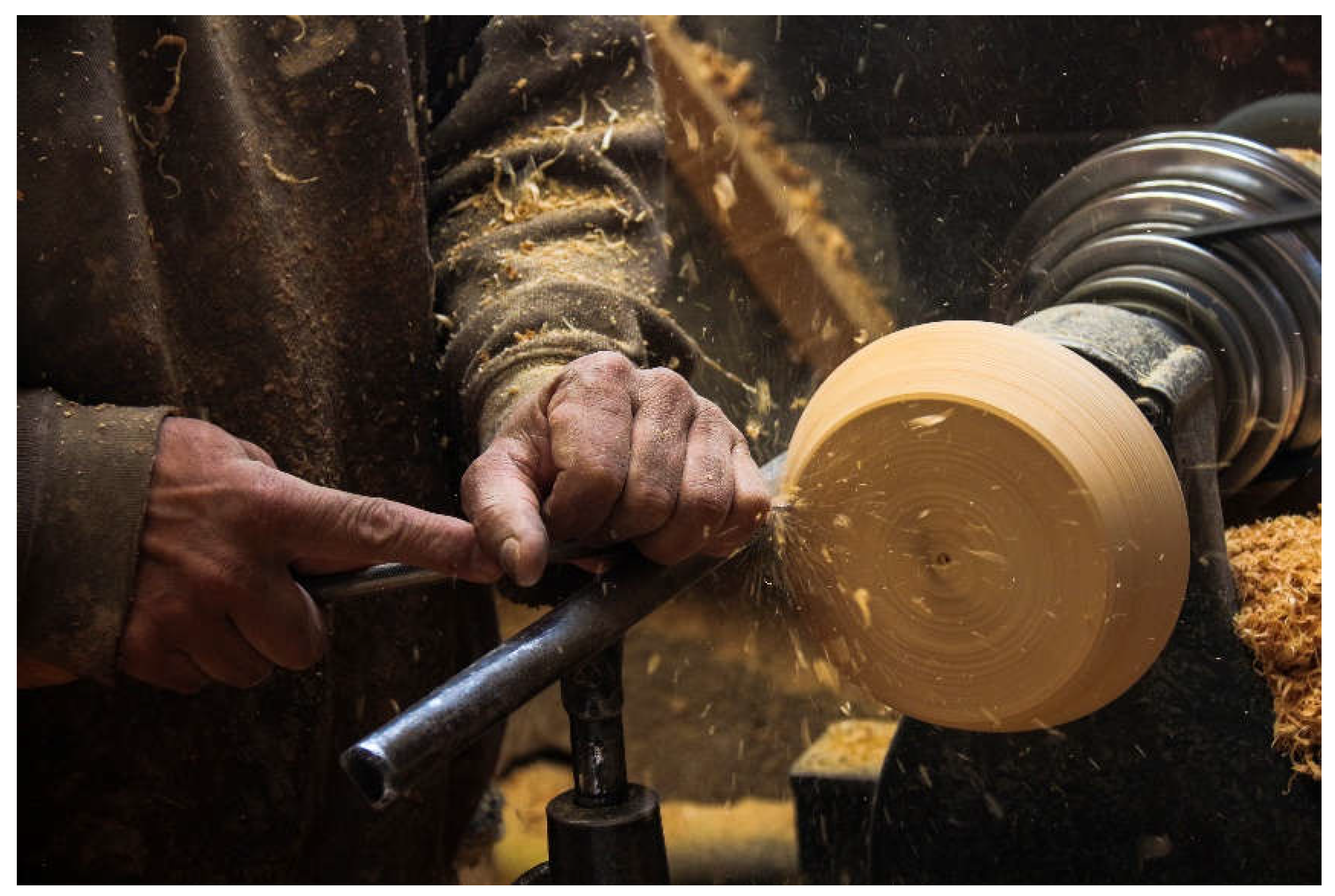 Preprints 110478 g007