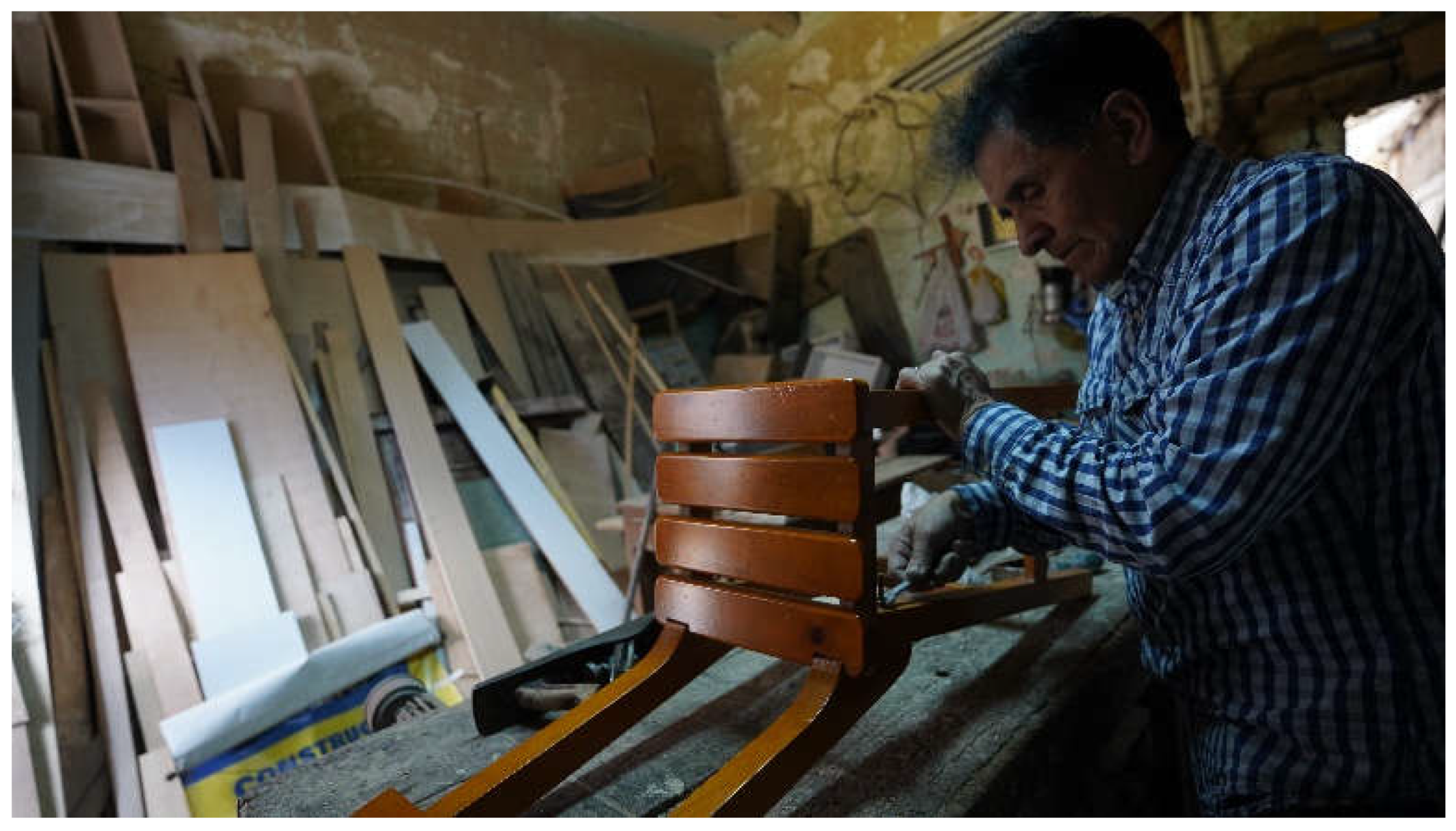 Preprints 110478 g008