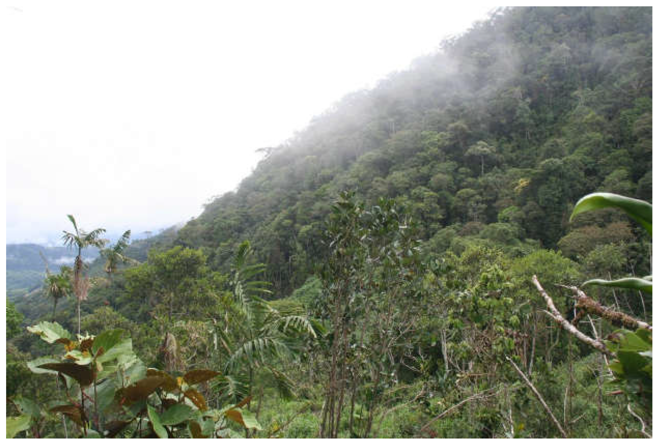 Preprints 110478 g011