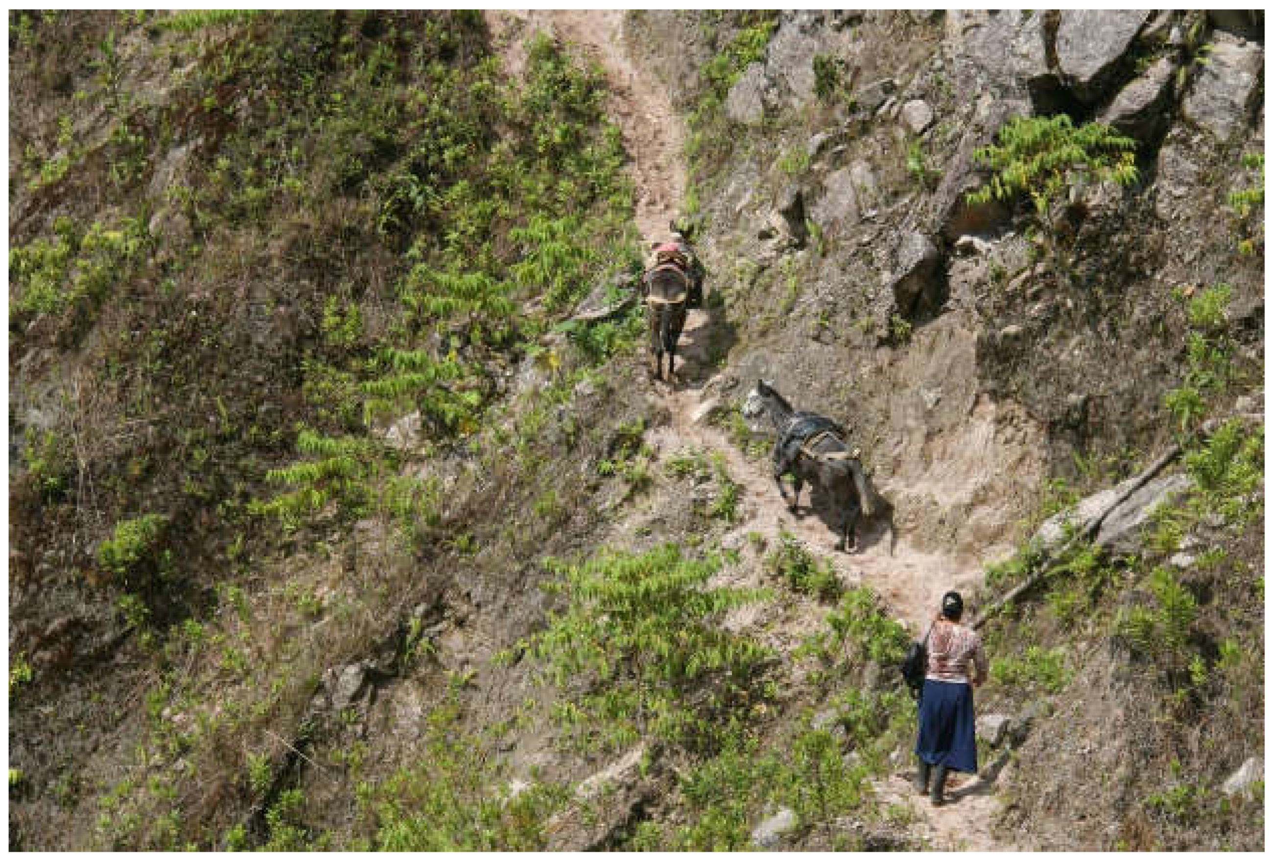 Preprints 110478 g013